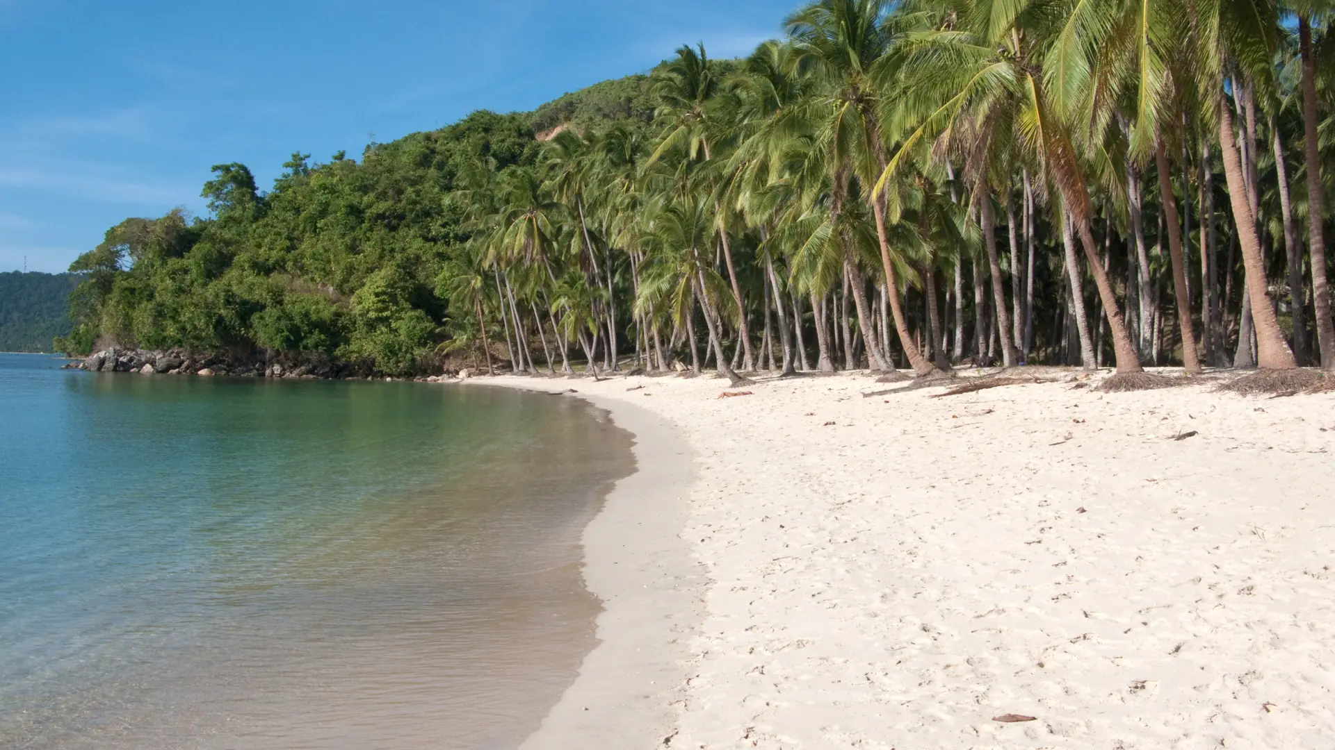 Palm-lined white sand at Corong-Corong Beach, El Nido, curving towards forested headlands