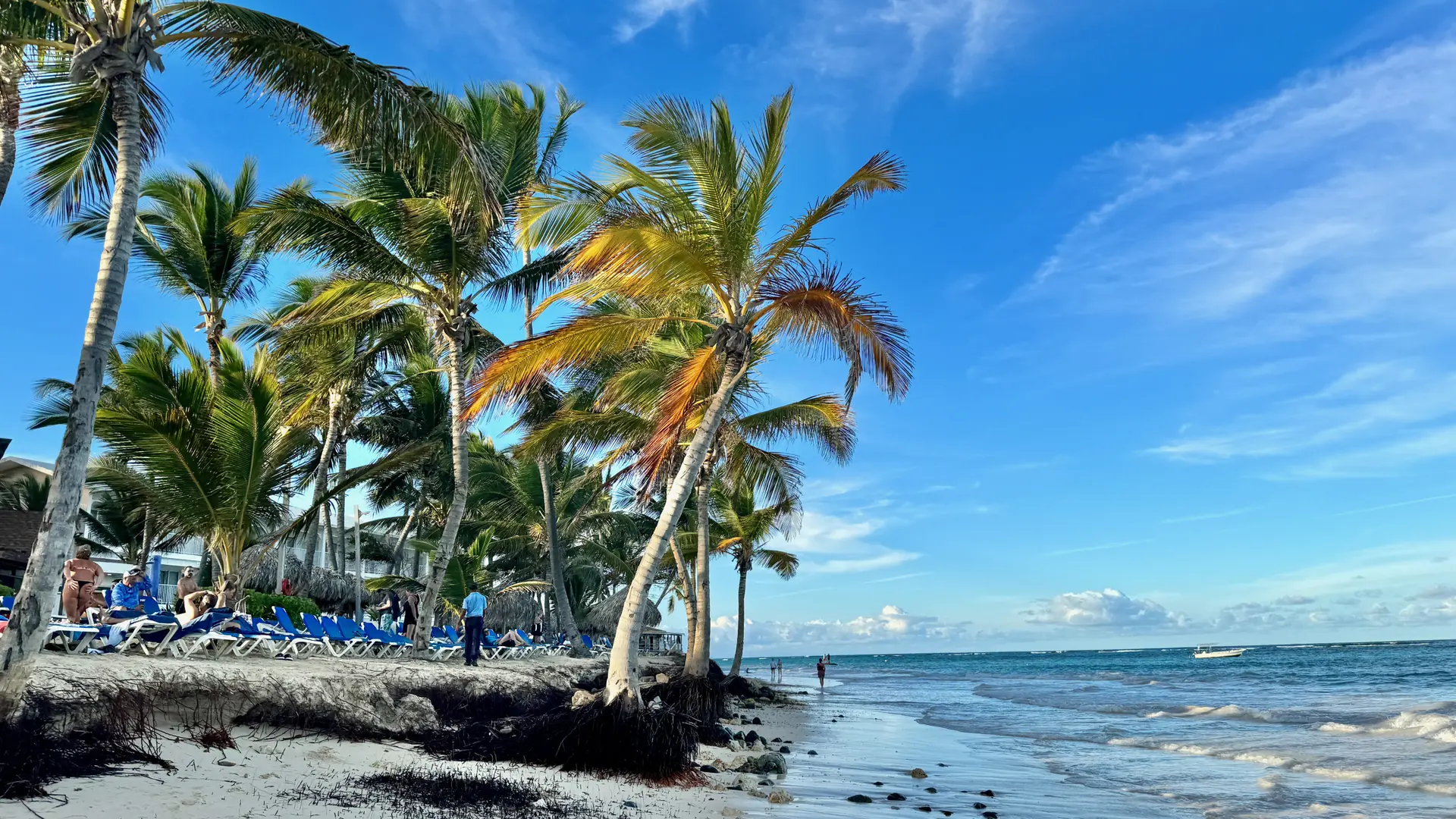 Bright sand and palms on the Punta Cana coast