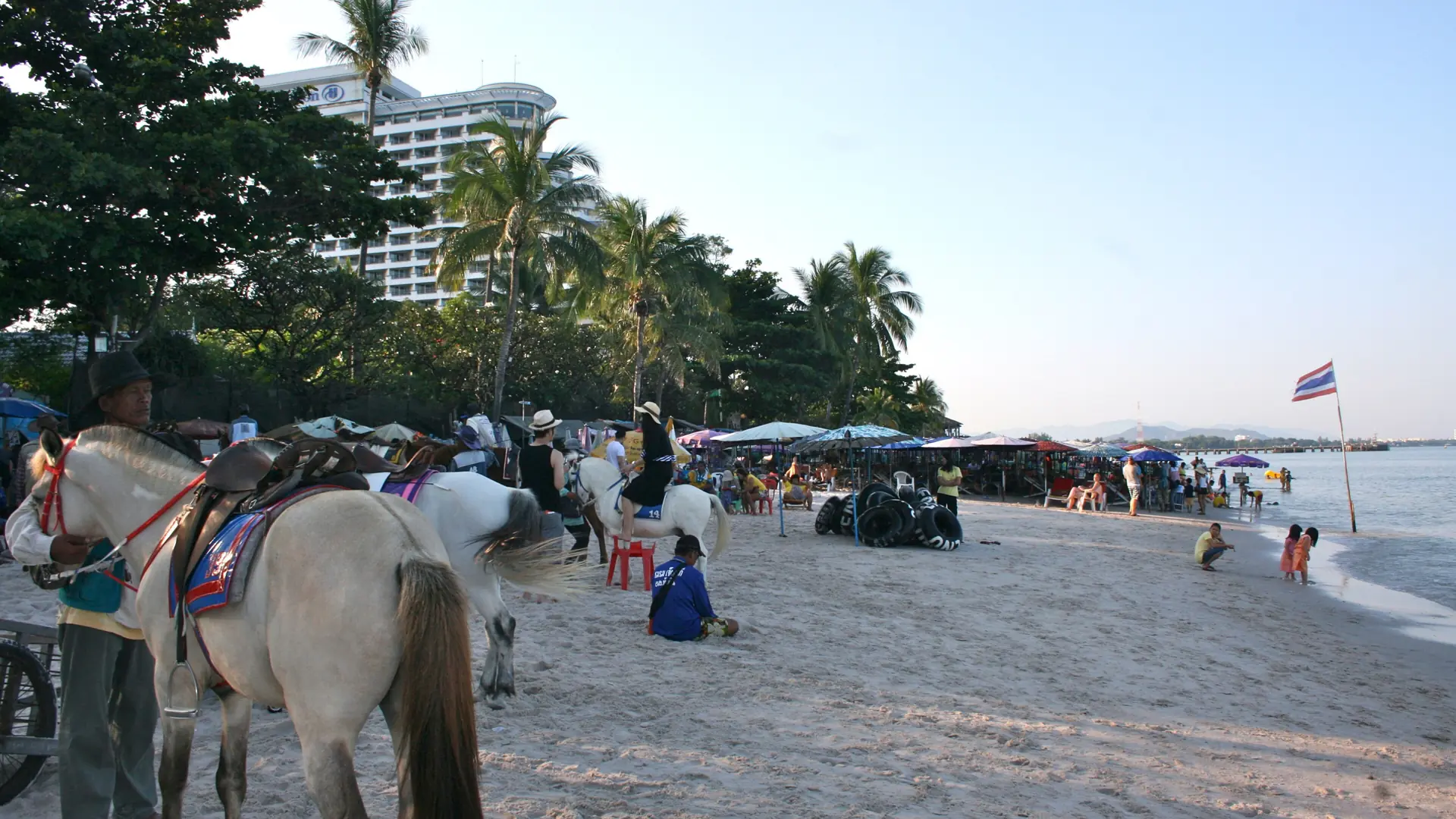 Beach horses walking the sand below Hua Hin's green Khao Takiab headland