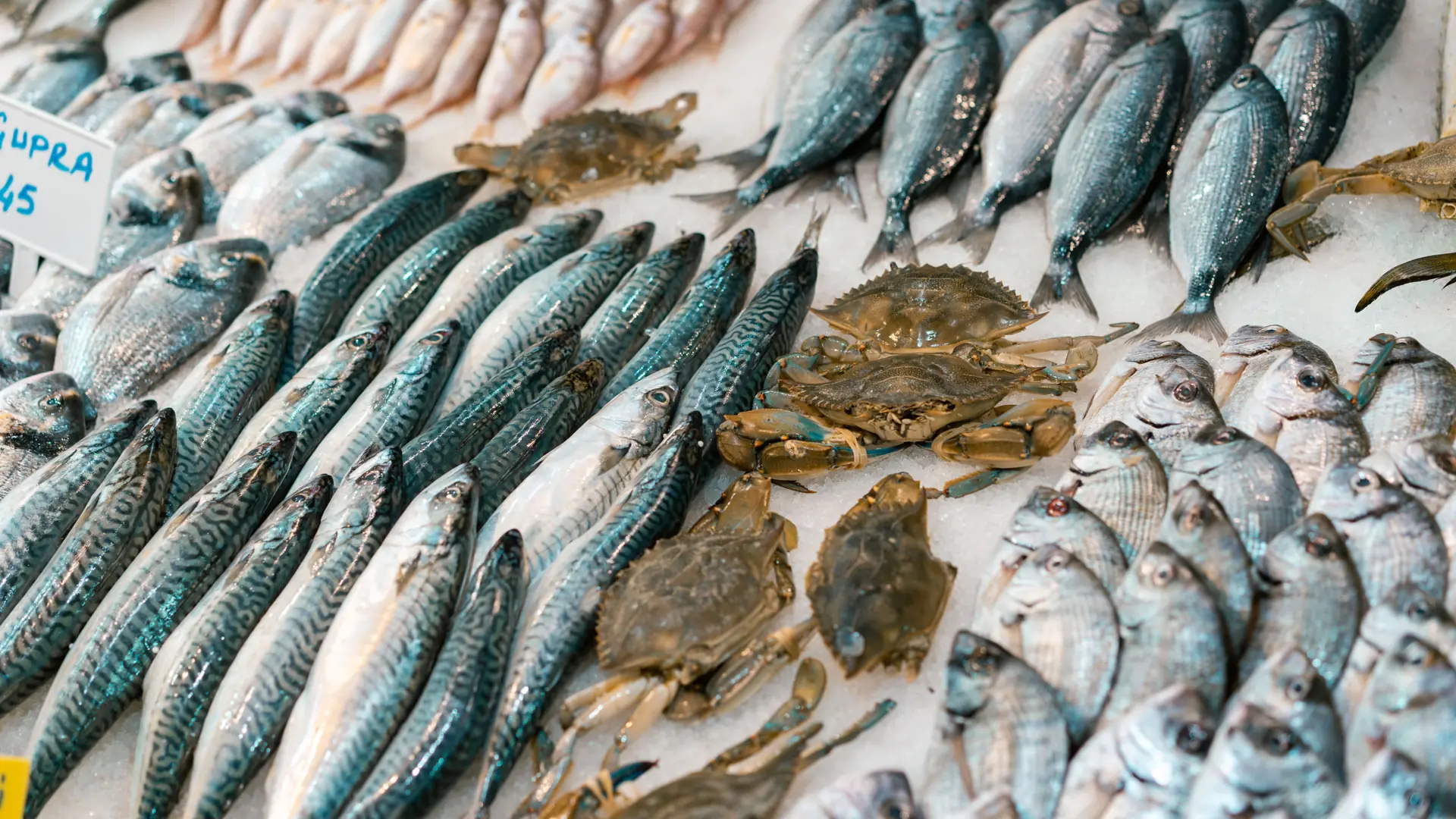 fresh Atlantic fish and crab neatly arranged on ice at a market stall
