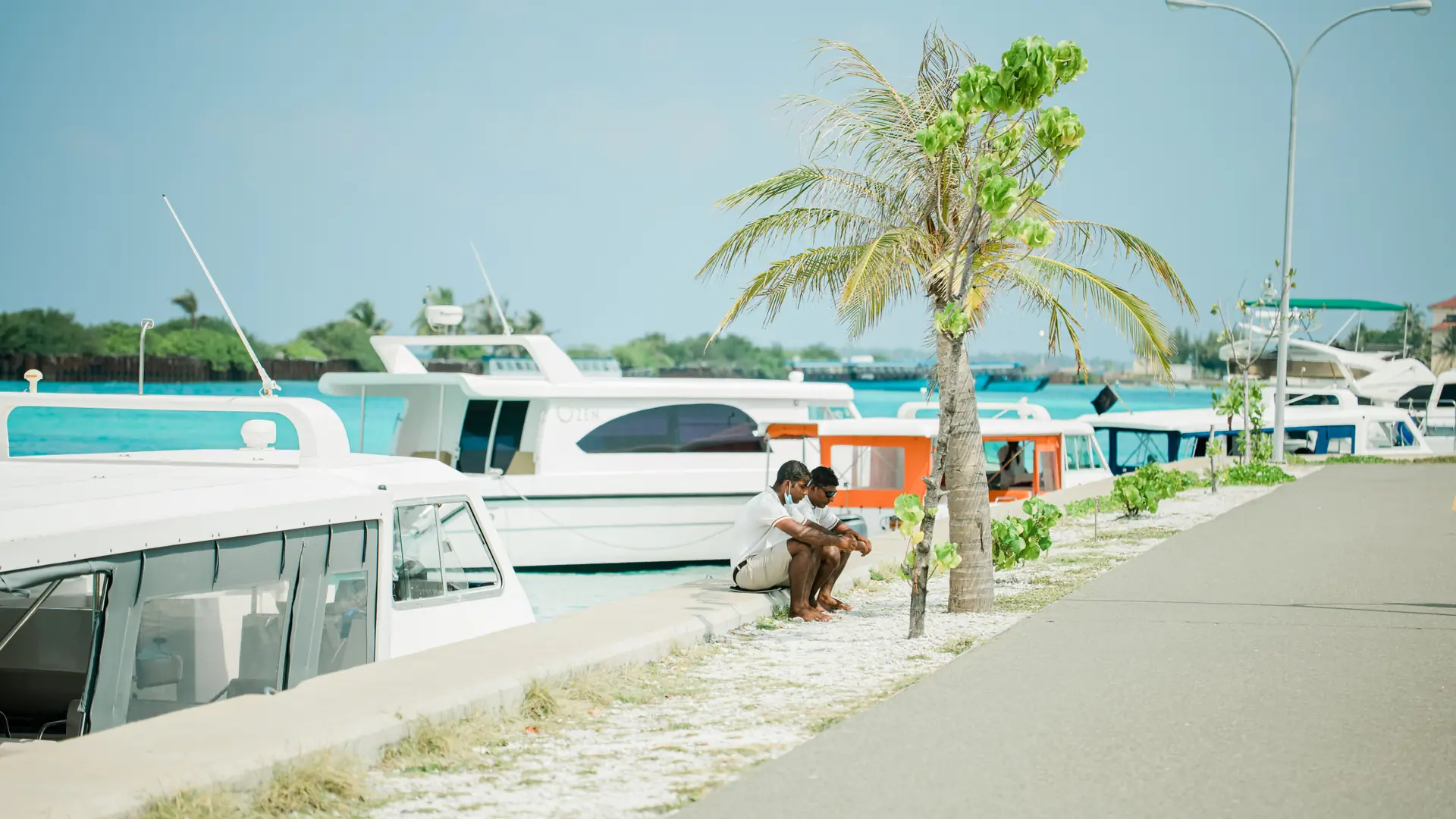 People and boats at a palm-lined Maldivian island jetty on a bright day