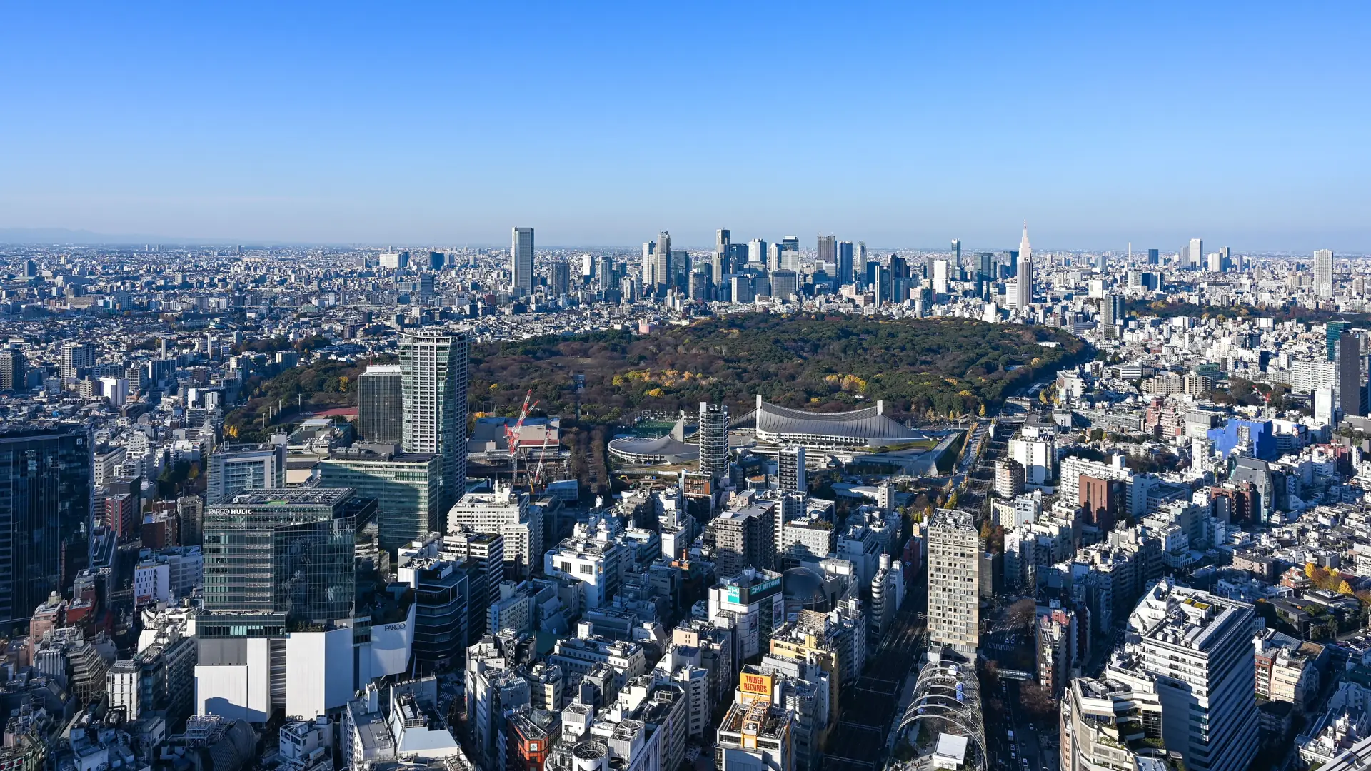 Tokyo city buildings and a green park beneath a clear blue sky
