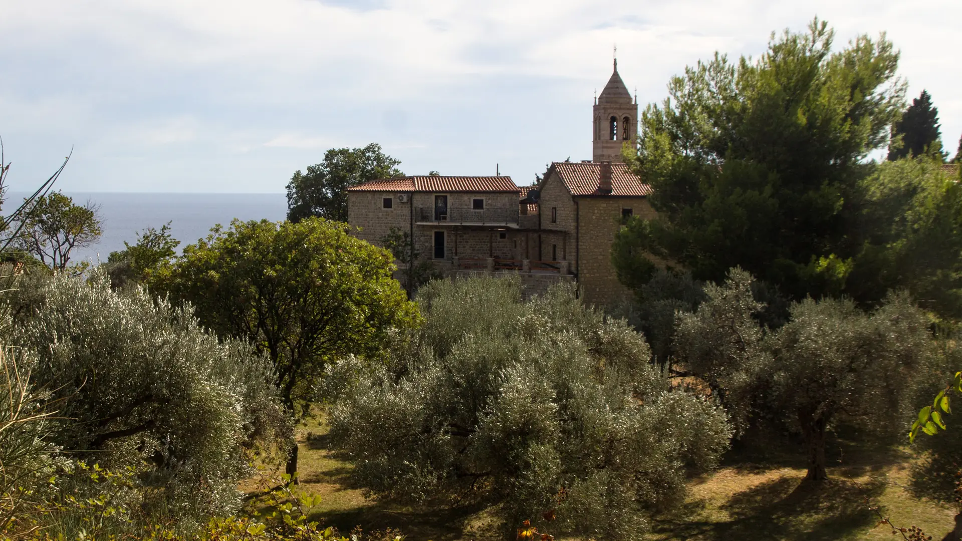 Reževići Monastery framed by olive trees near Petrovac
