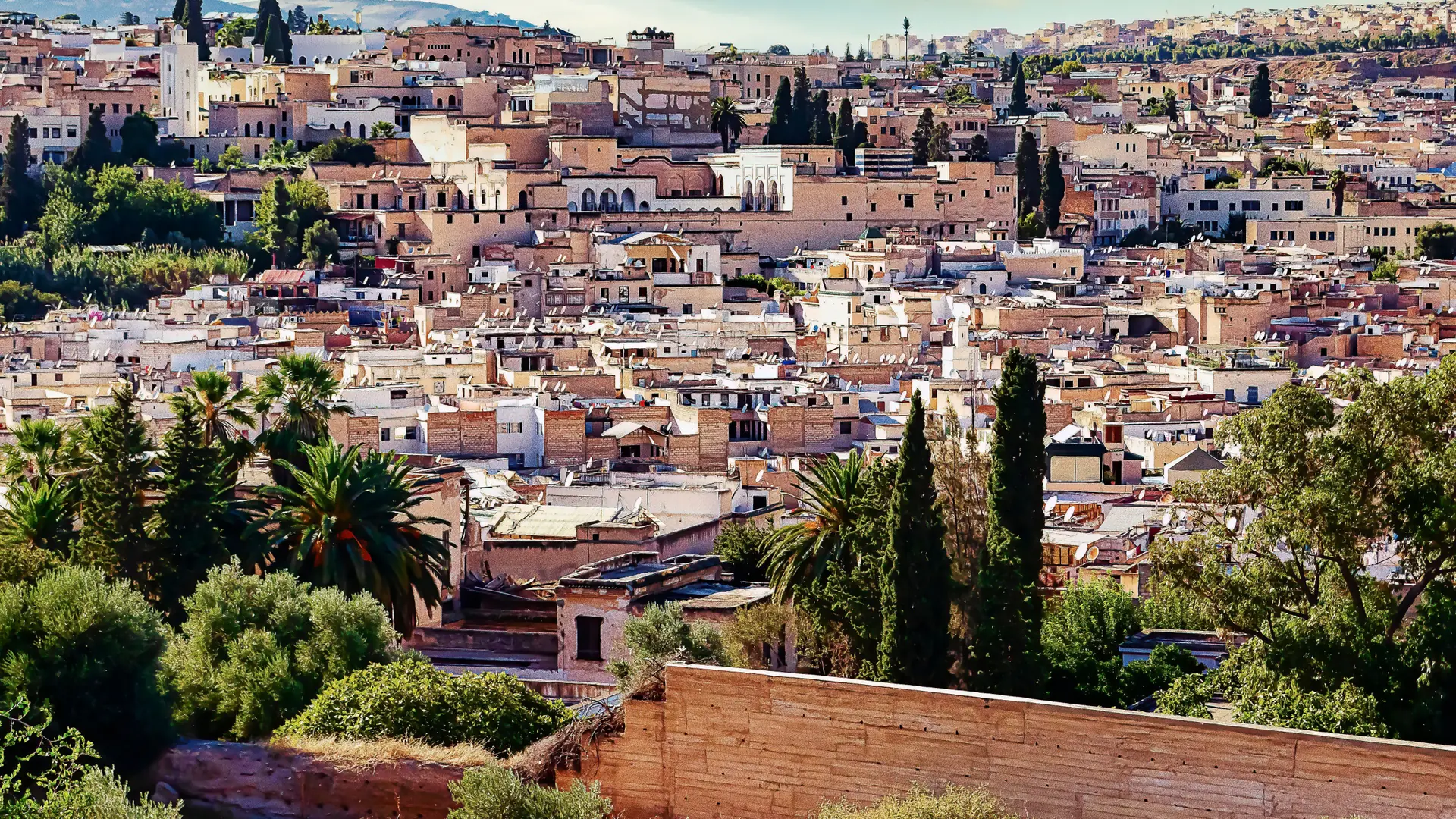Sunlit rooftops and palm trees across Fez medina