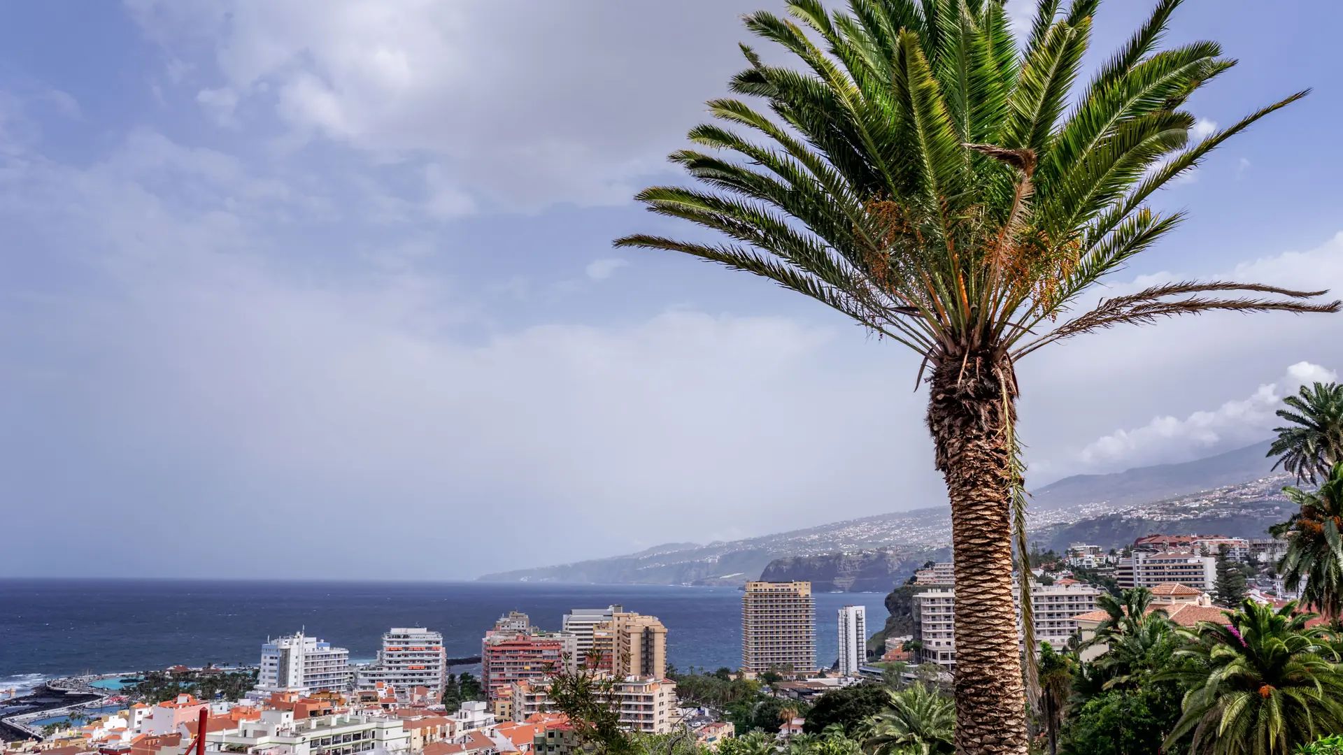 Sunny view across Funchal's terracotta roofs, gardens and Atlantic bay