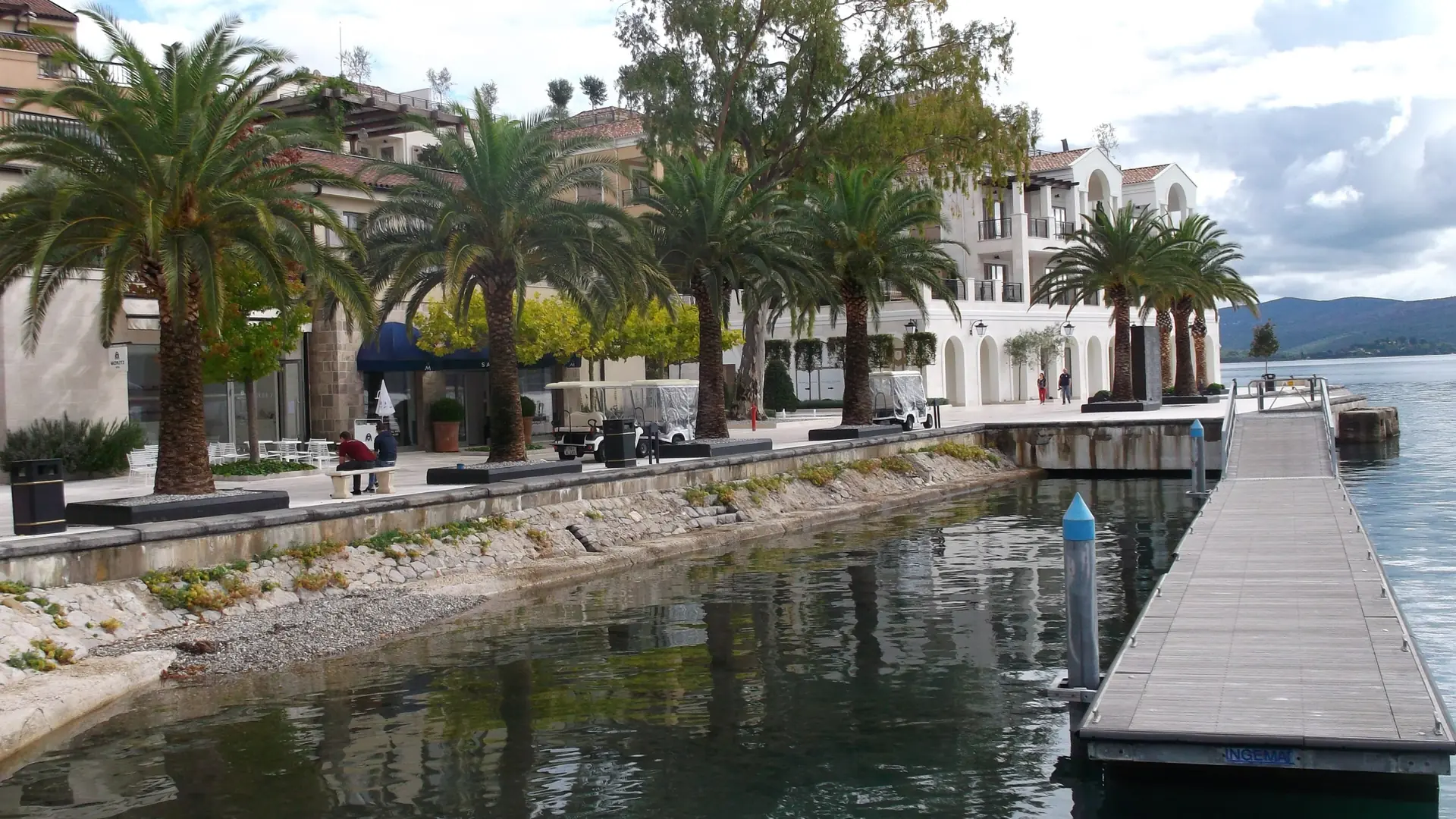 Palm trees along Tivat's Arsenalska waterfront, with the bay beyond