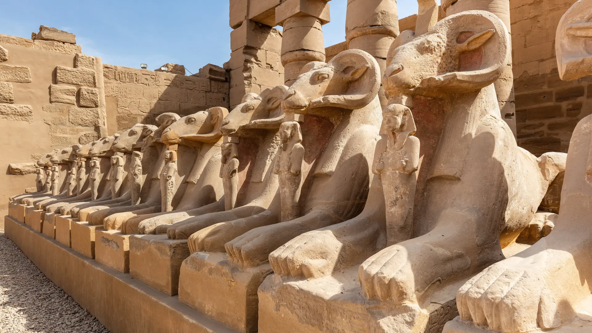 A sunlit row of ram-headed sphinxes at Karnak Temple in Luxor.