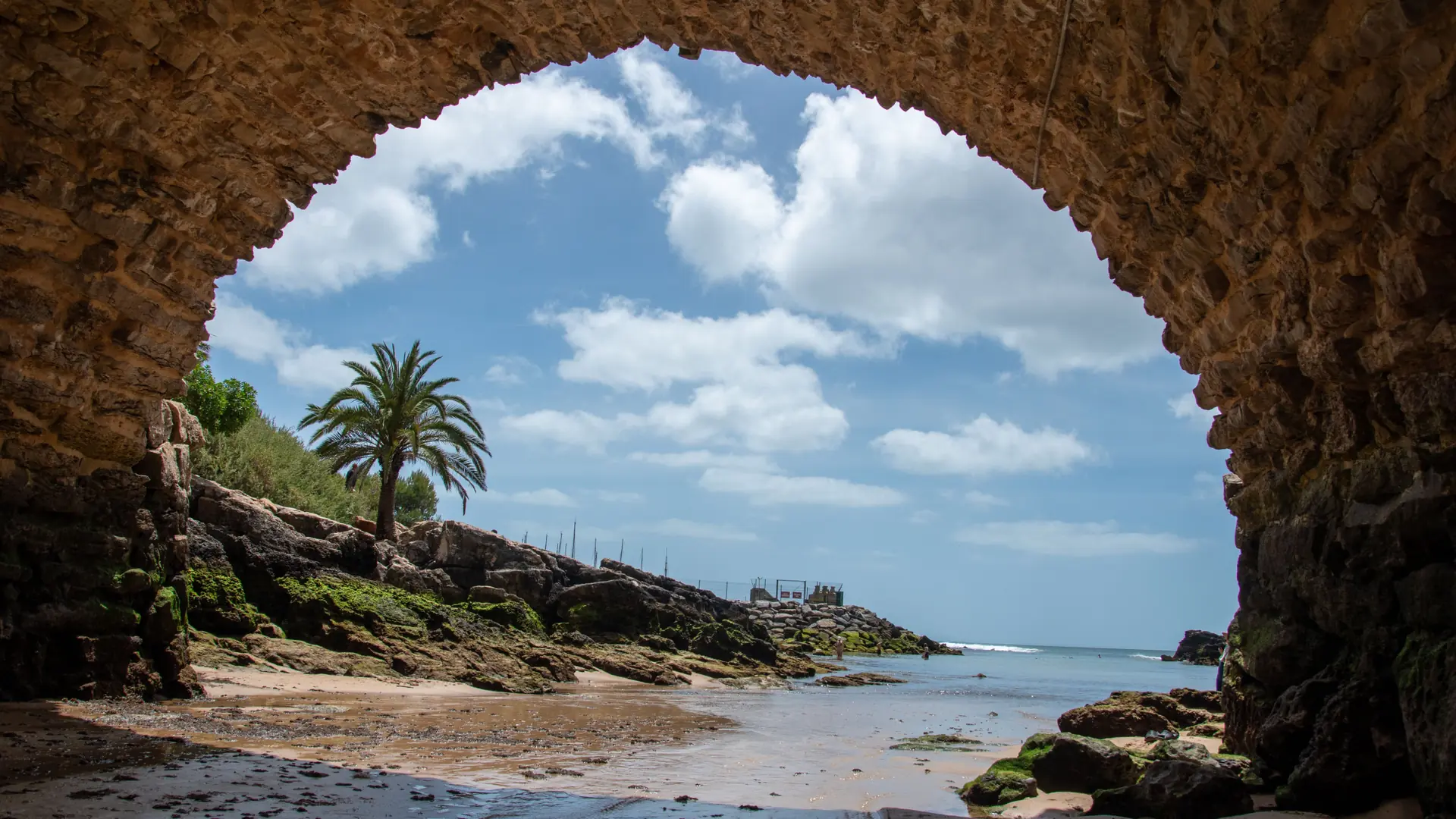 Blue Atlantic water and a palm tree framed by a stone arch on the Cascais coast