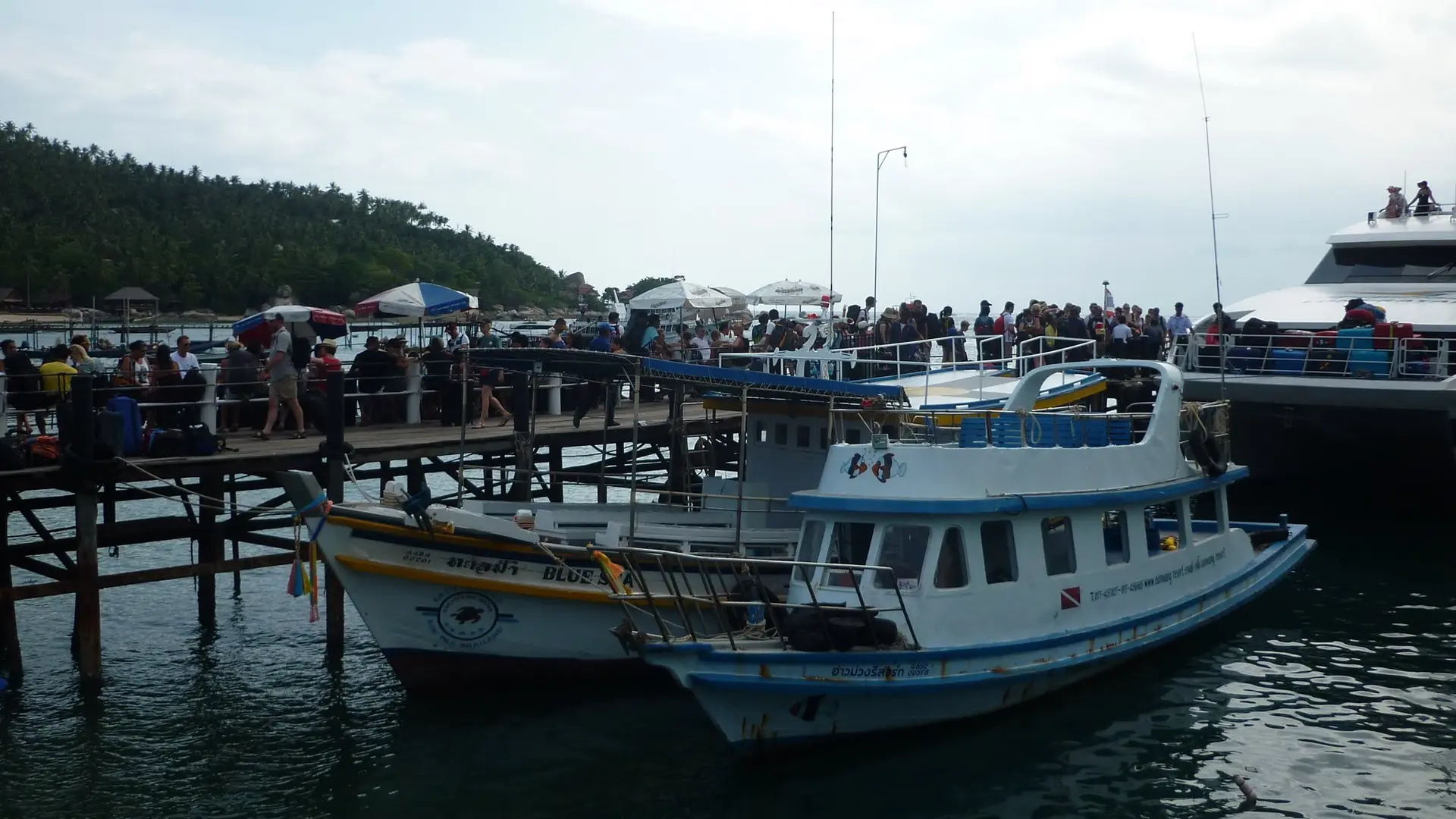 Passenger and dive boats moored beside Koh Tao's Mae Haad pier
