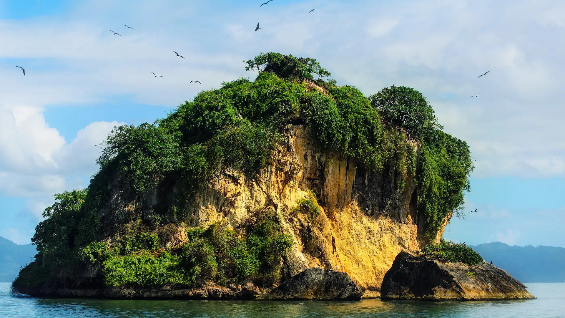 Sunlit vegetated limestone islet in Los Haitises National Park