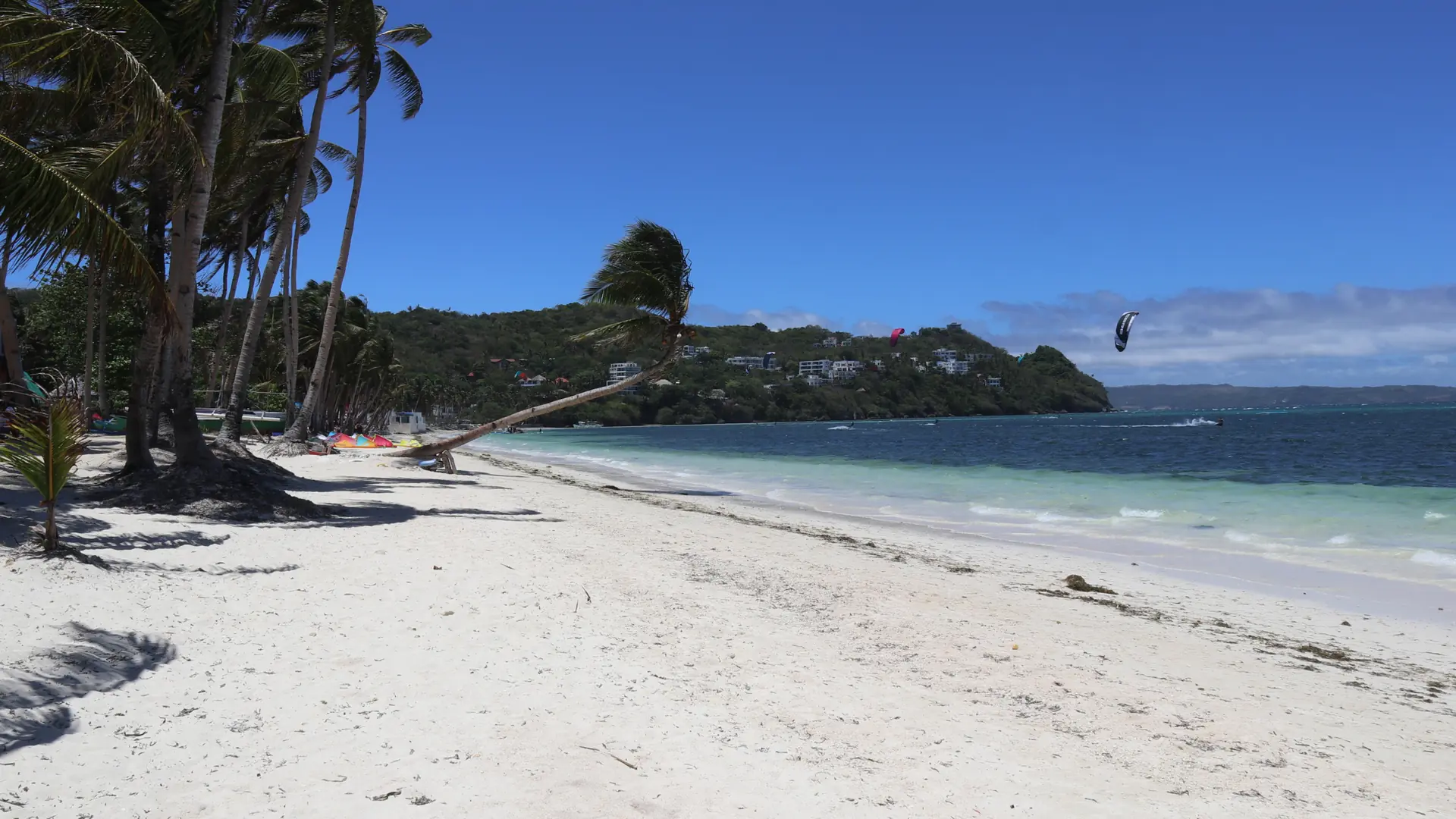 Wind-bent palm trees and white sand at Bulabog Beach, with kites above the water