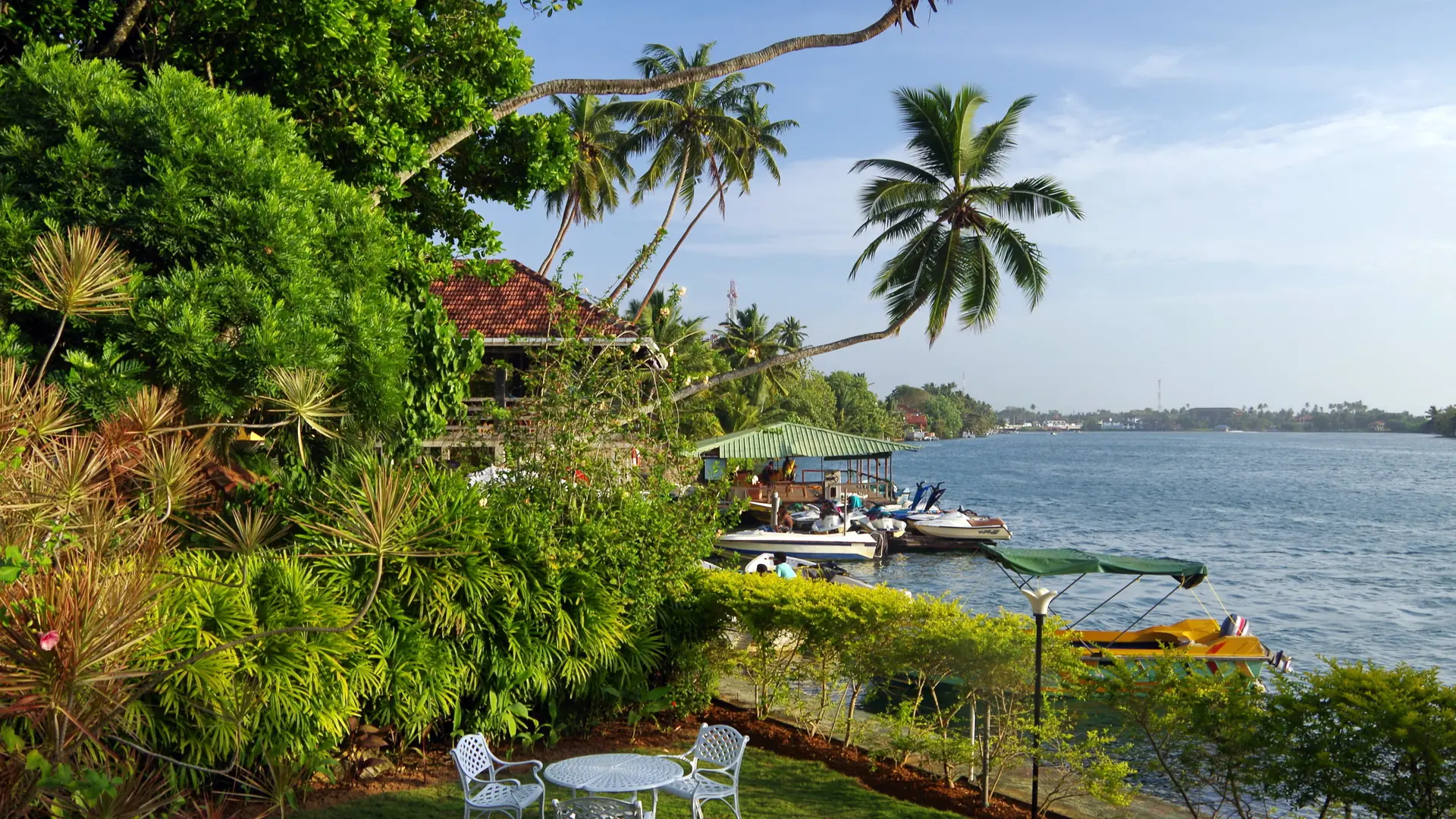 Palm-lined Bentota River bank with small boats