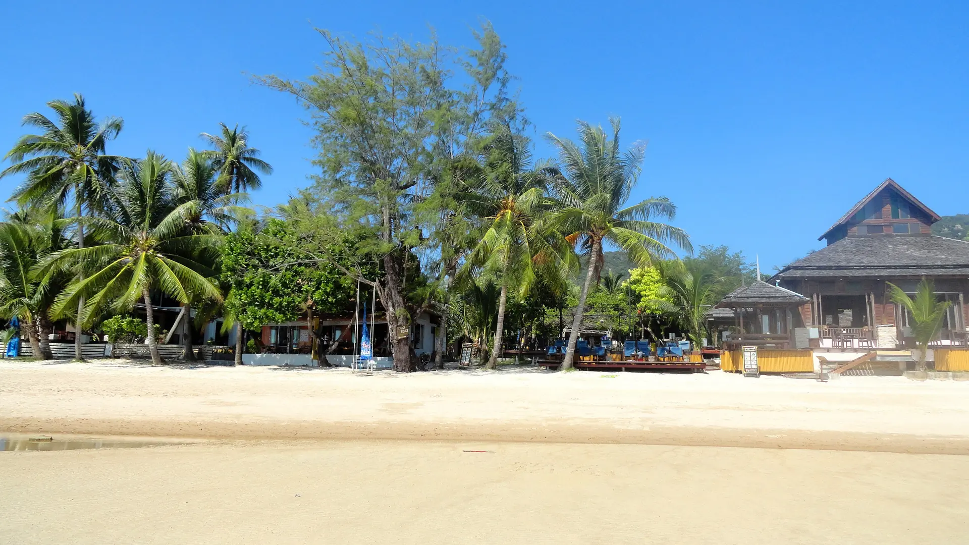 Sunny sand, palms and beachfront buildings at Sairee Beach on Koh Tao