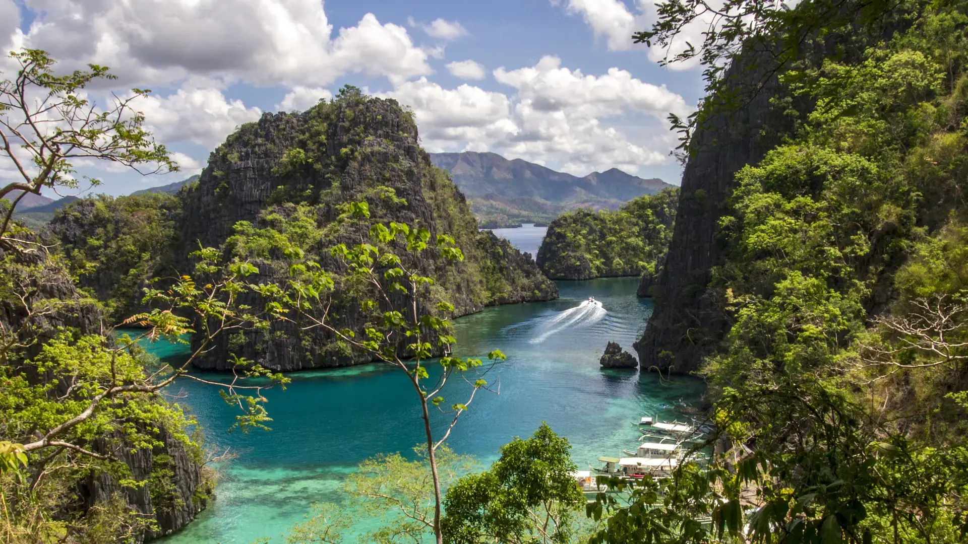 Limestone cliffs and moored bangkas in the sea bay seen from Kayangan Lake’s viewpoint on Coron Island
