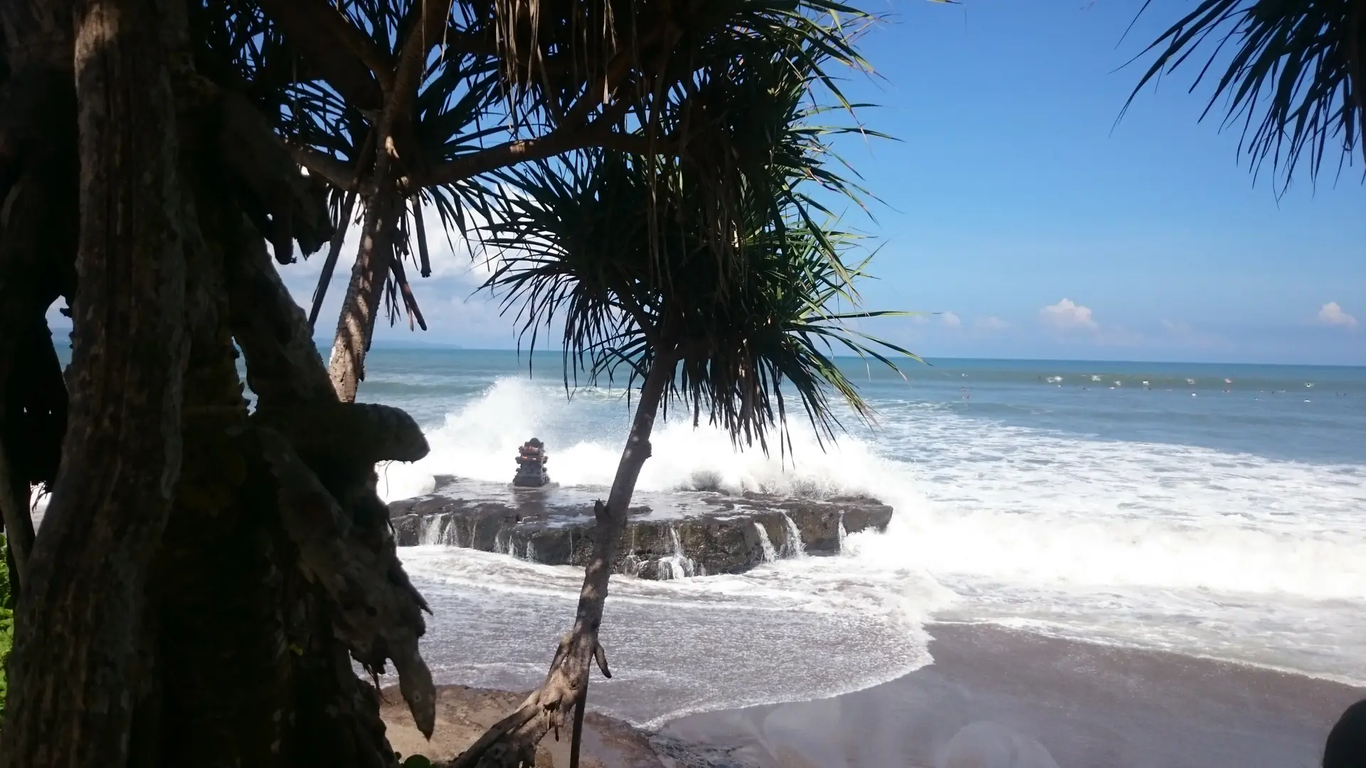 Pandanus leaves above waves breaking around the rock shrine at Batu Bolong, Canggu