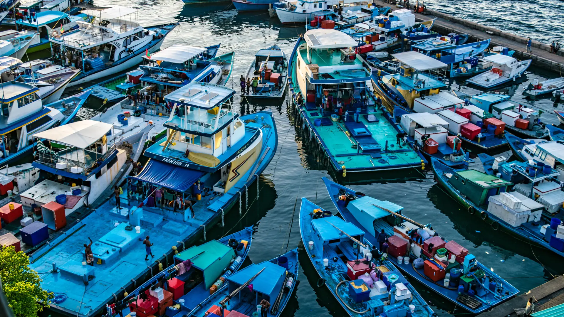 Bright aerial view of colourful fishing boats in Malé harbour; ward not identified