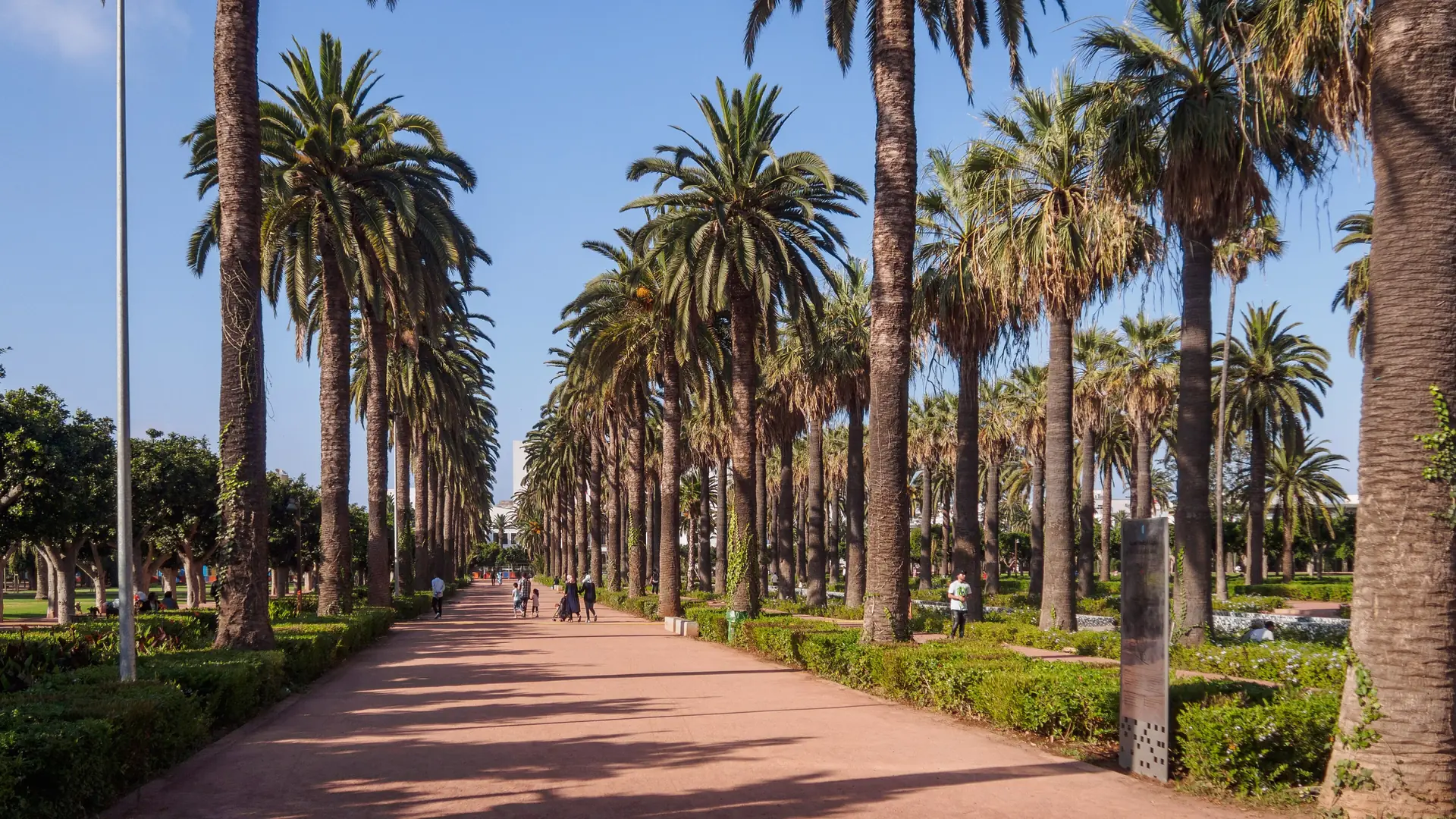 Palm-lined path in Casablanca's Arab League Park on a sunny day
