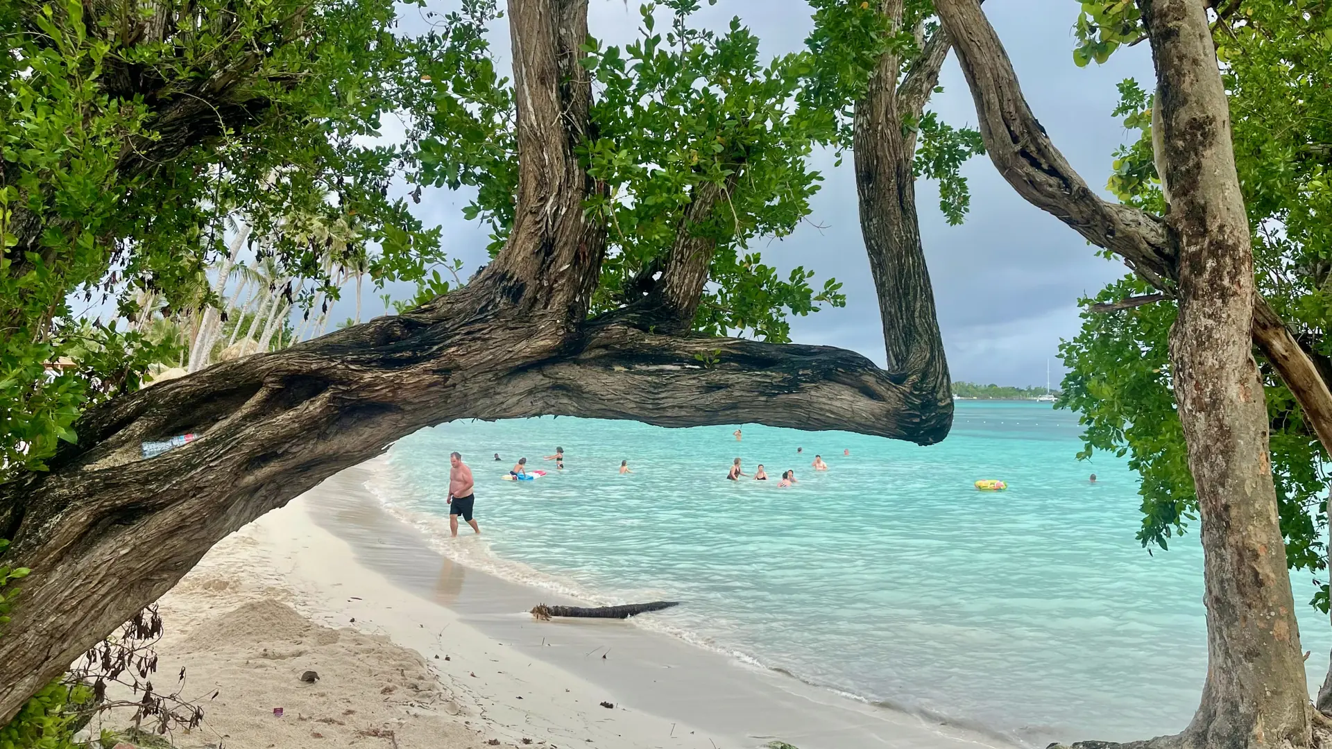 Sunlit beach and turquoise Caribbean water near Bayahíbe