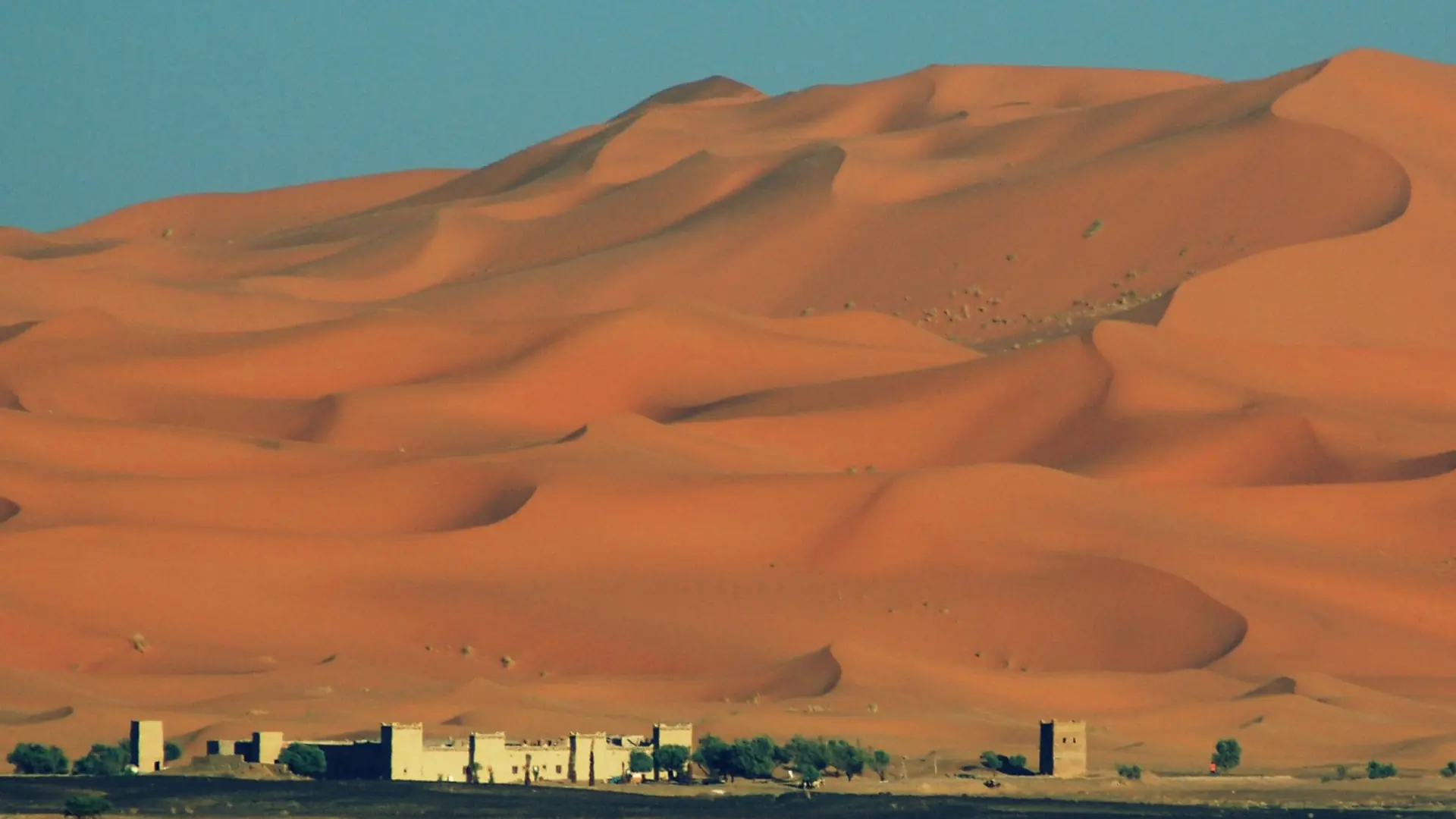 Sunlit golden Erg Chebbi dune ridge near Merzouga