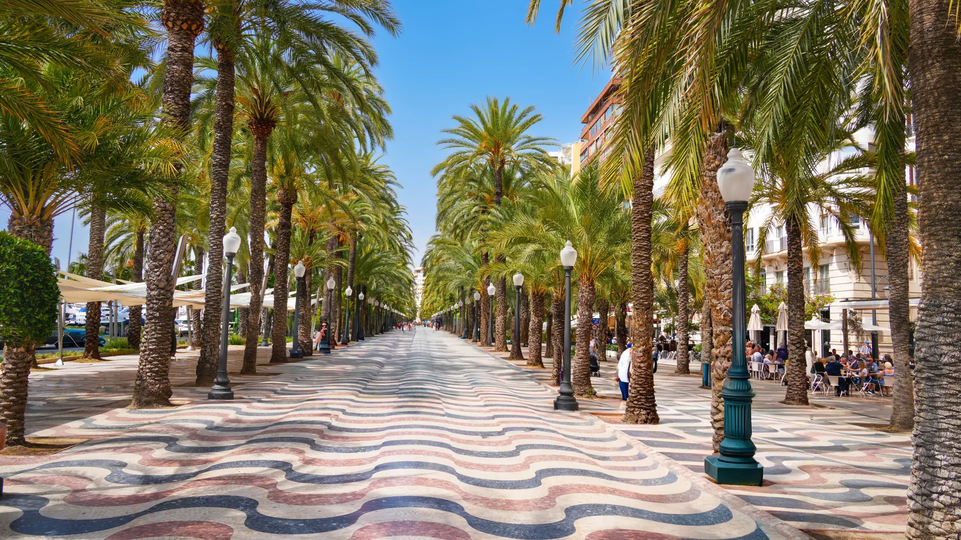 Palms and the wave-pattern mosaic of Alicante’s Explanada de España in daylight