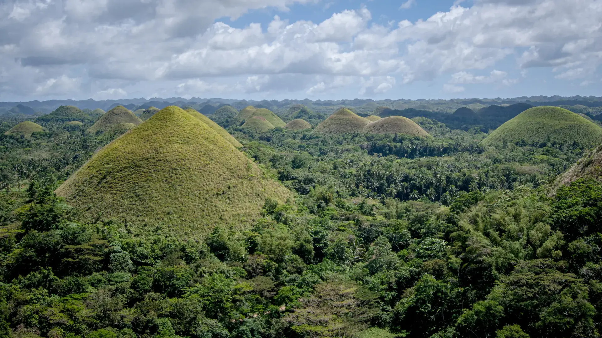 Green Chocolate Hills above sunlit forest near Carmen, Bohol, beneath white clouds