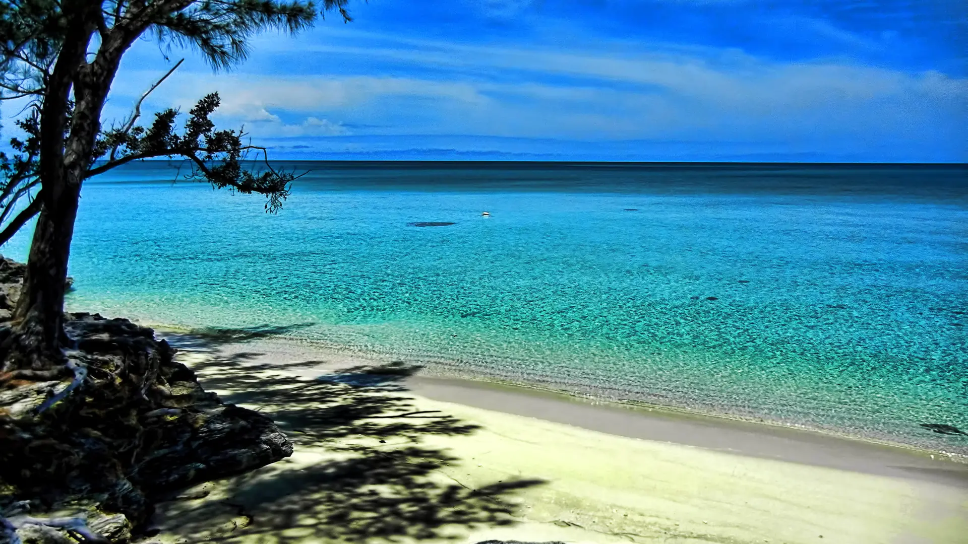 The beach and turquoise water at Current on Eleuthera