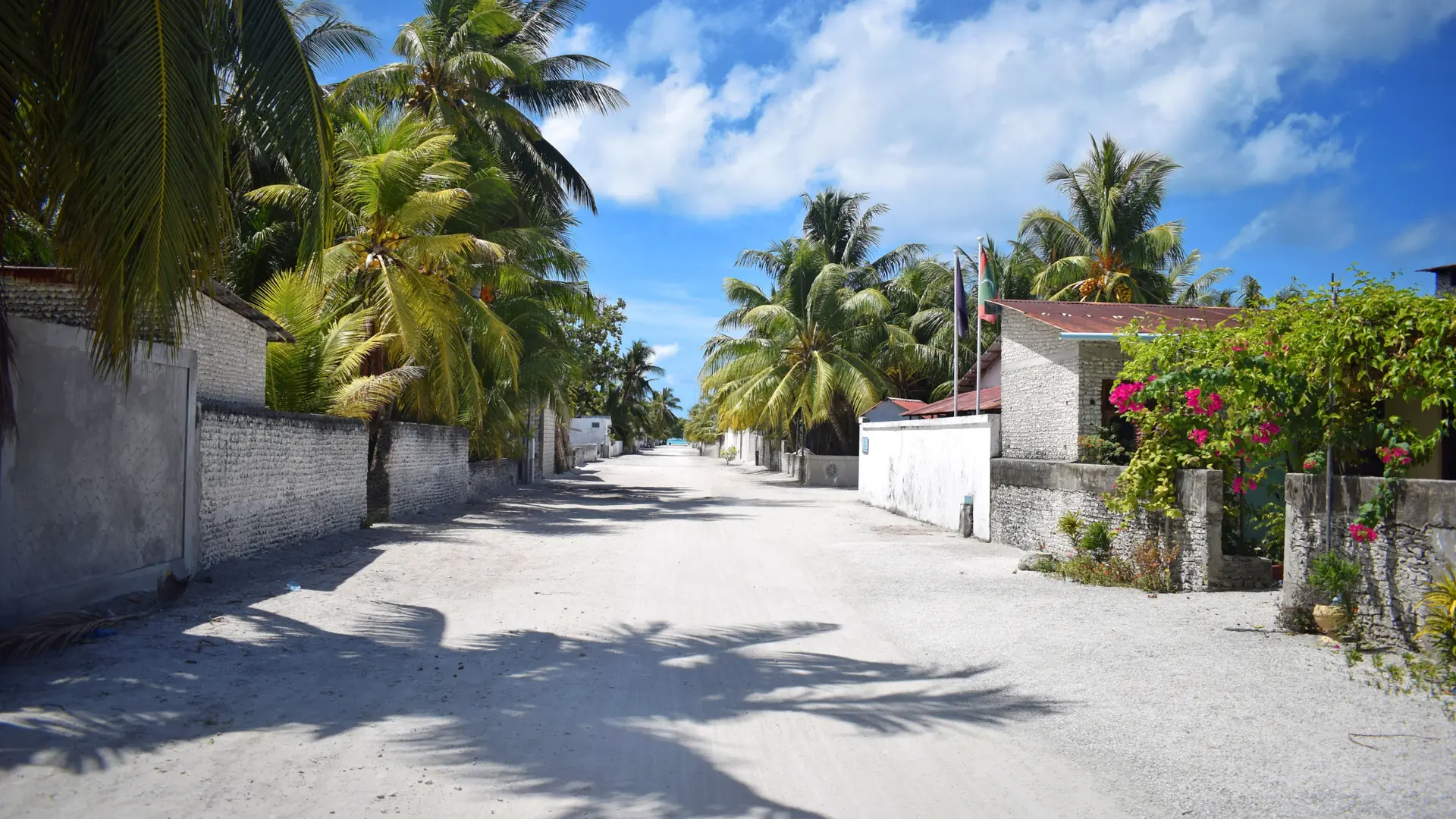 Palm-lined residential street in Gaafu Dhaalu Atoll, Maldives