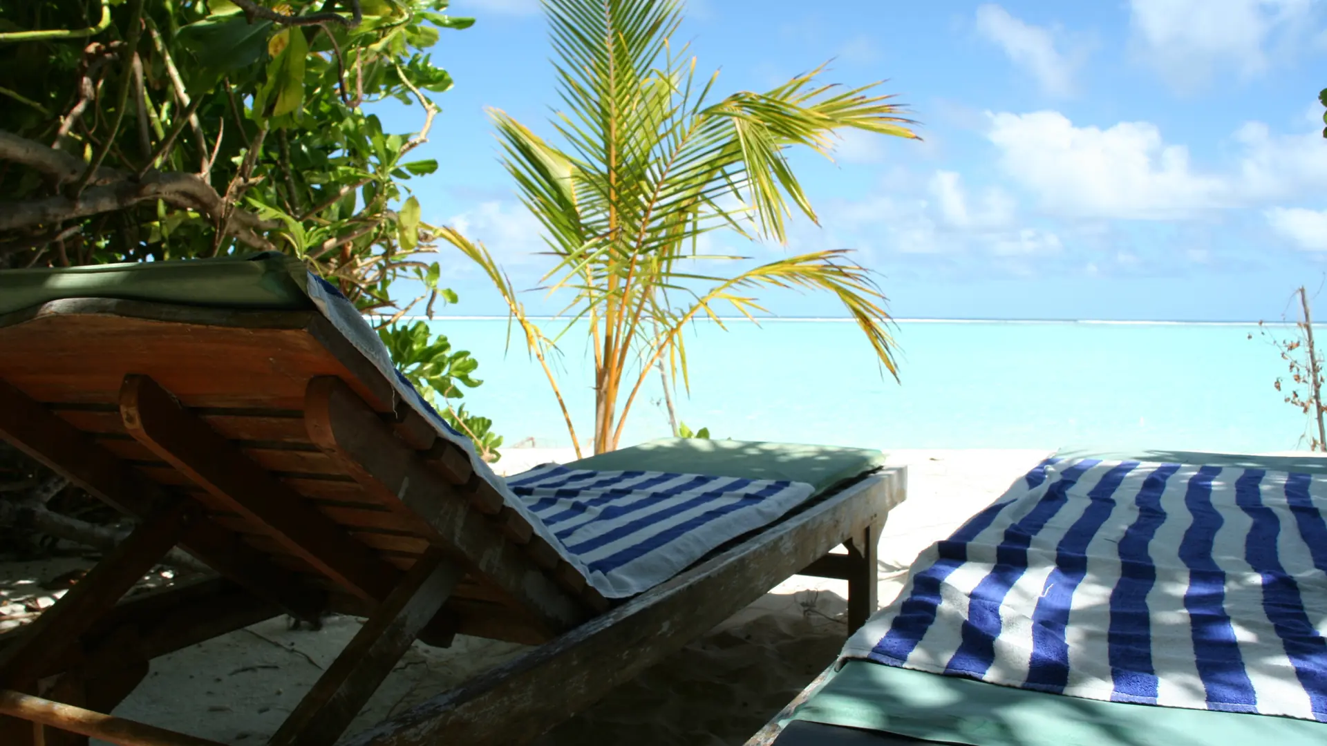 Palm-shaded loungers overlooking the beach on neighbouring Maamigili in South Ari Atoll