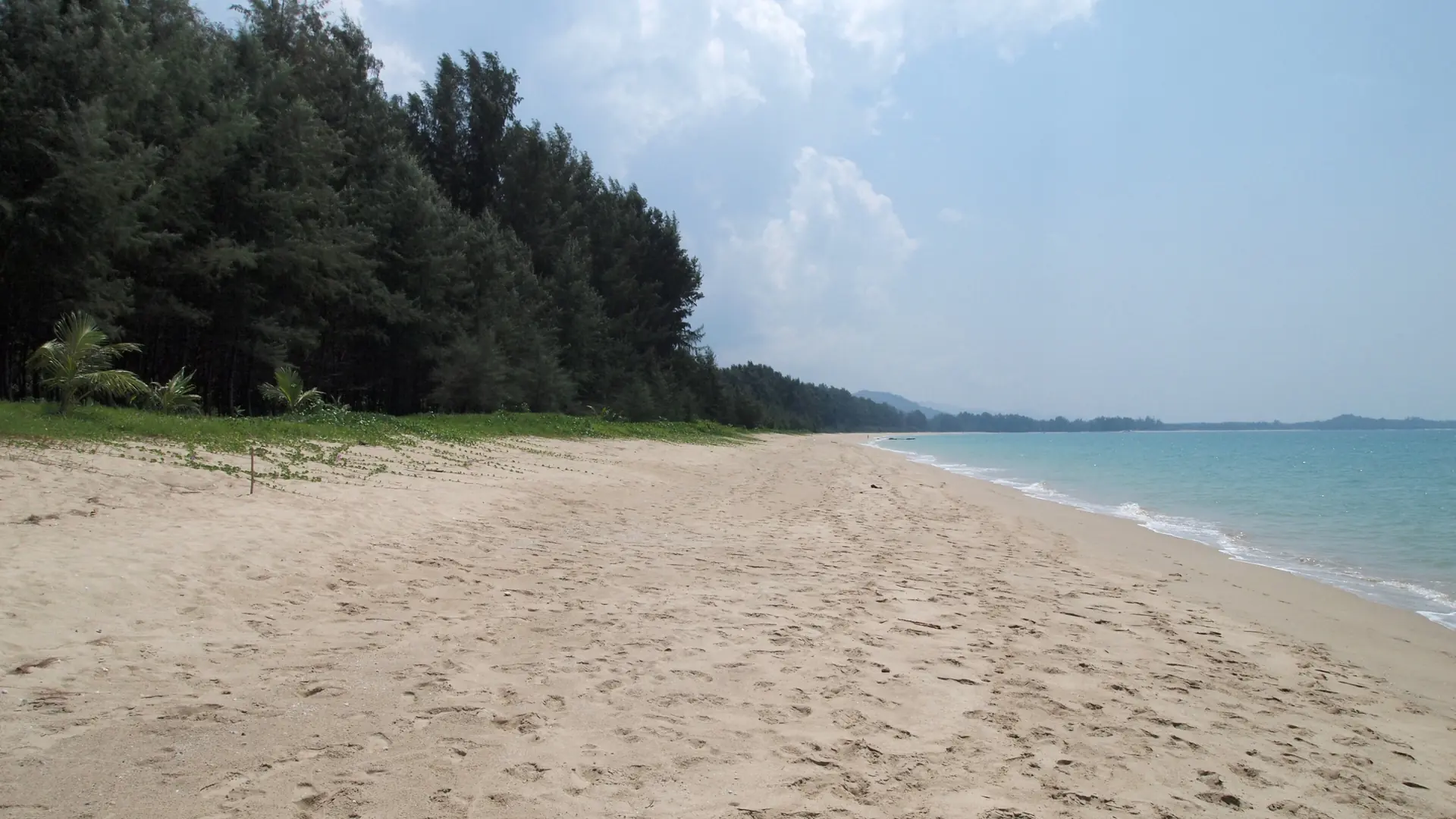 Empty pale sand stretching through Khao Lak-Lam Ru National Park