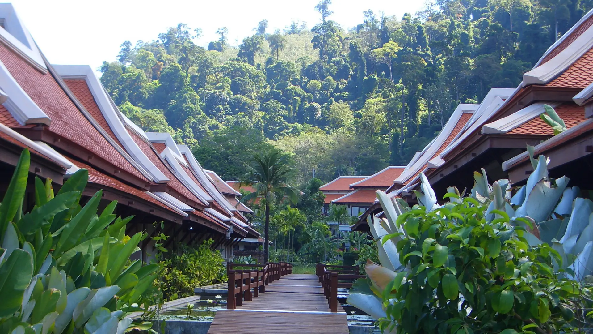 Sunlit resort shoreline and palms on northern Khao Lak's coast