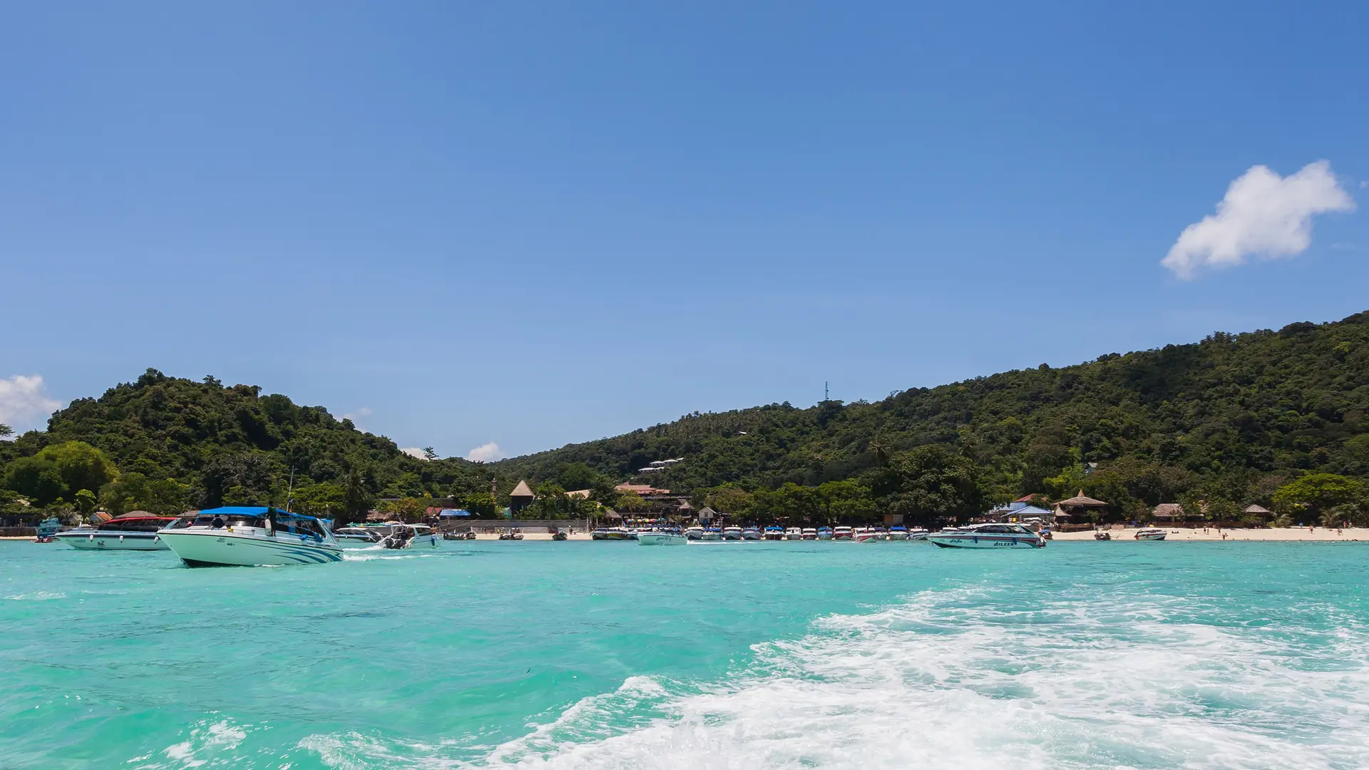 A broad tropical bay edged by dense greenery on Phi Phi Don