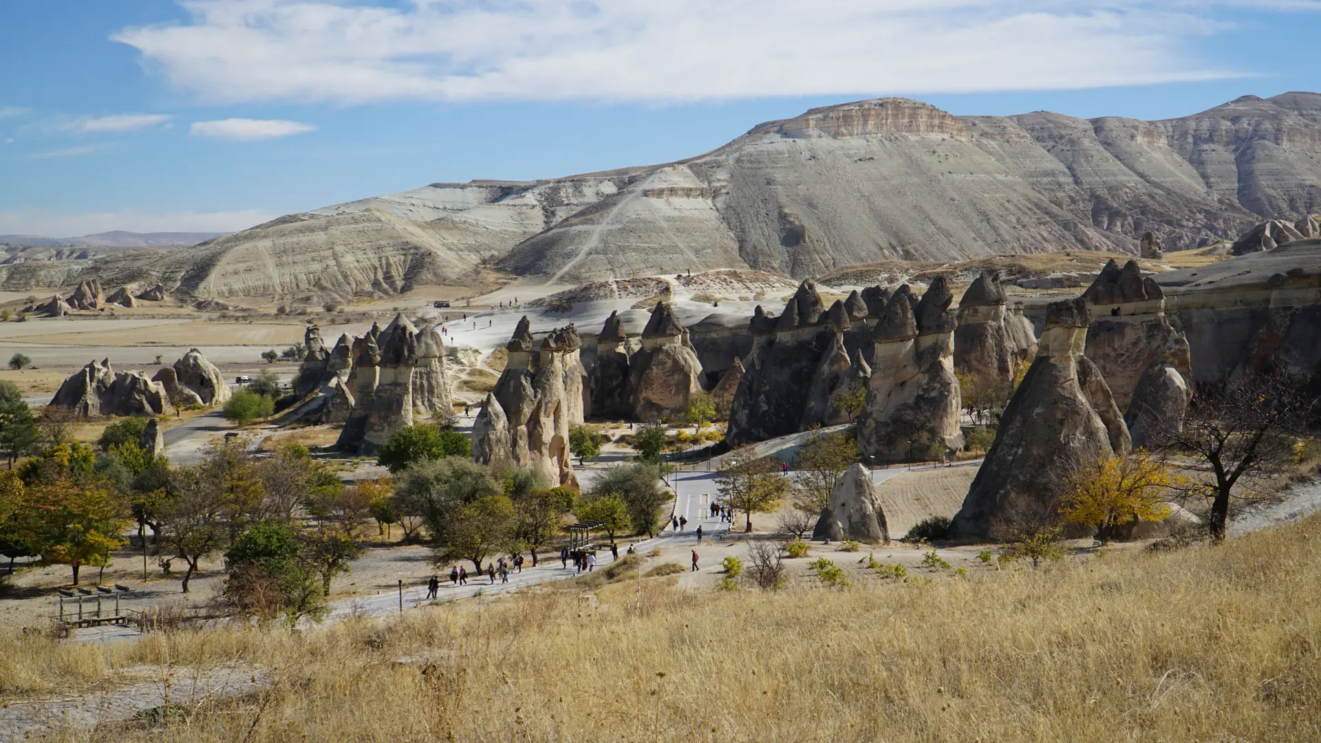 Paşabağ rock formations and vineyards in Cappadocia