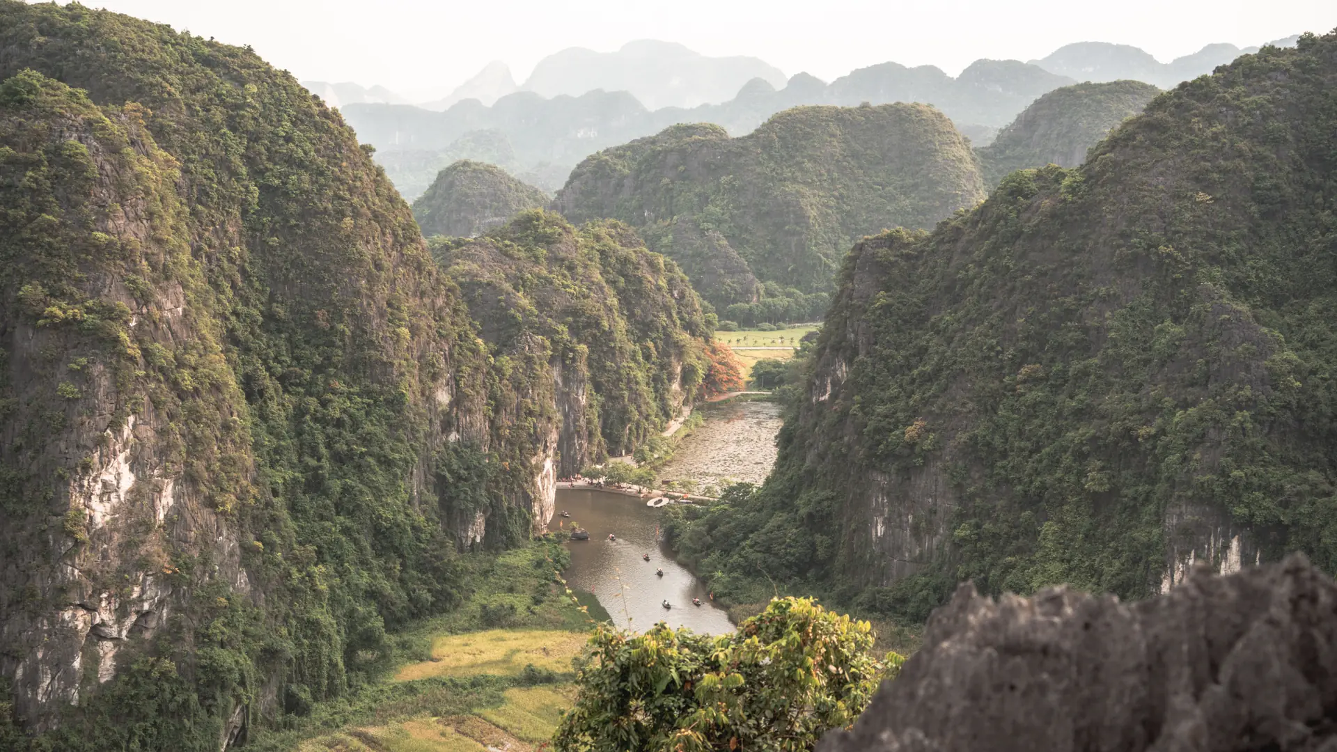 Hang Mua viewpoint over the cultivated Tam Coc valley