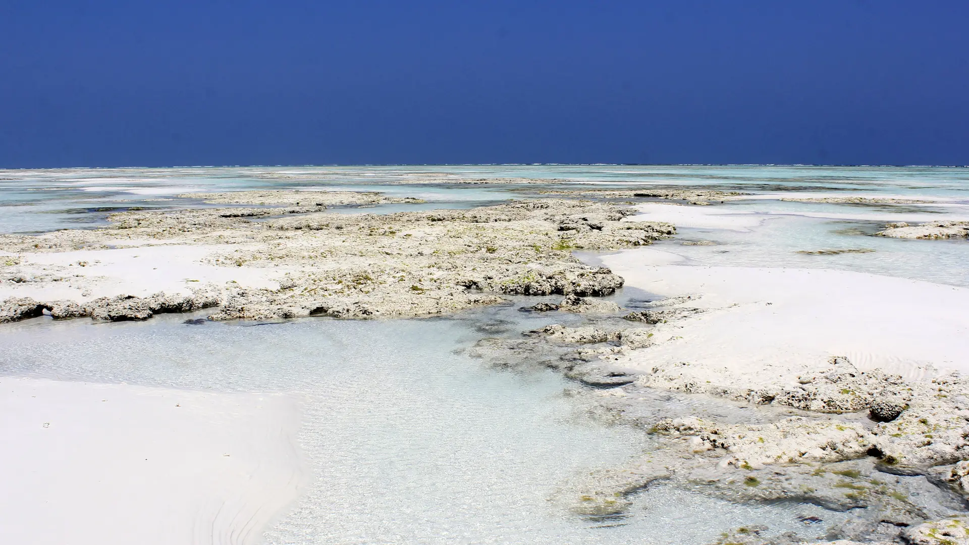 Bright sand and shallow blue water on the Nungwi coast