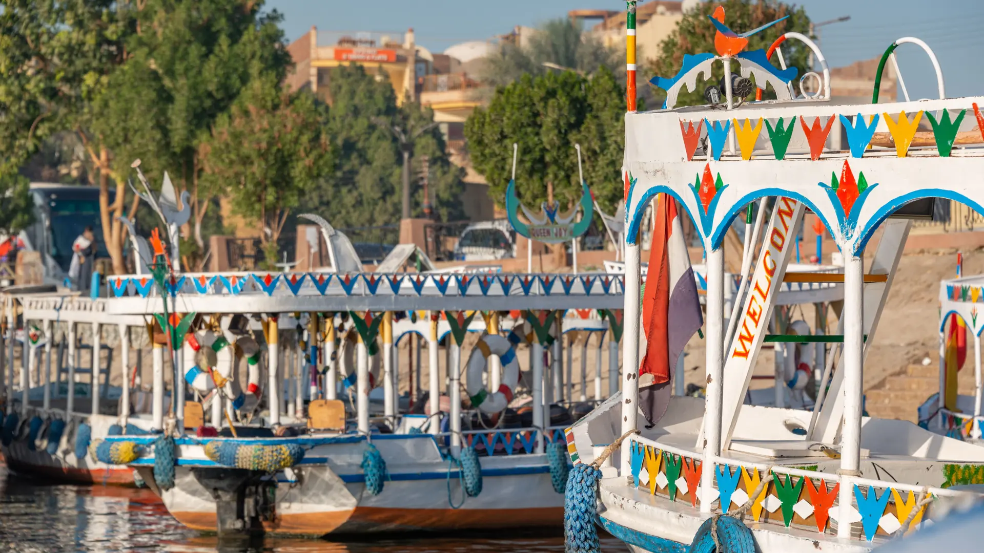 Colourful tour boats docked at Aswan harbour