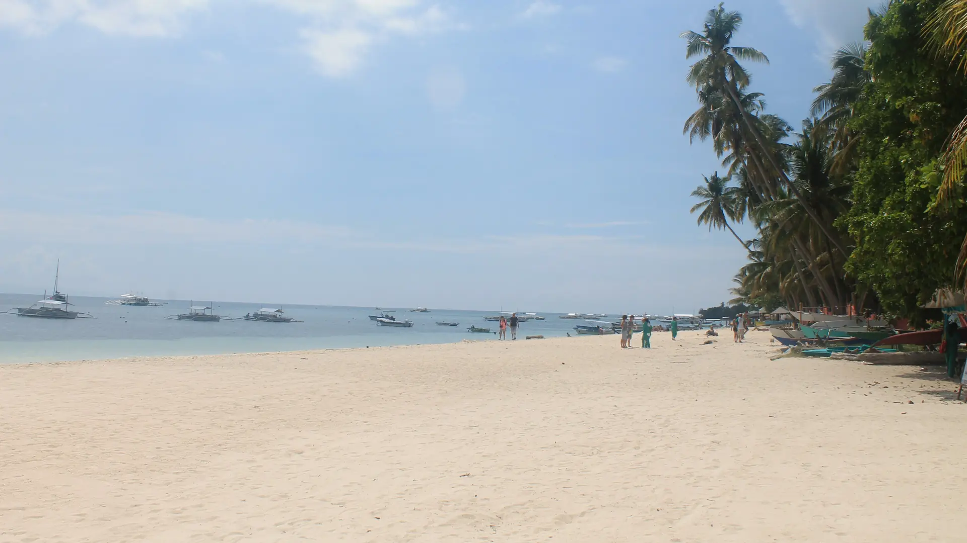 Palms and moored outrigger boats along the white sand of Alona Beach, Panglao