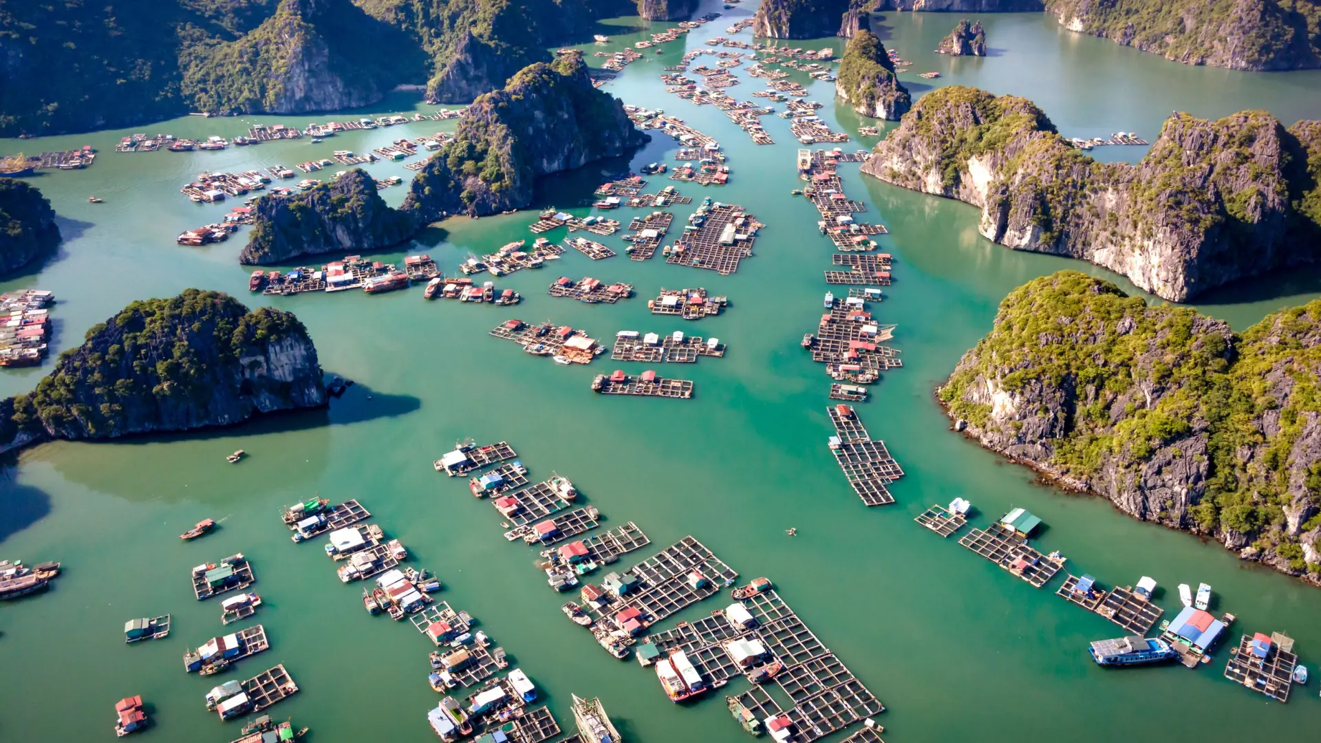 Floating fish farms among limestone islands in the Cat Ba archipelago