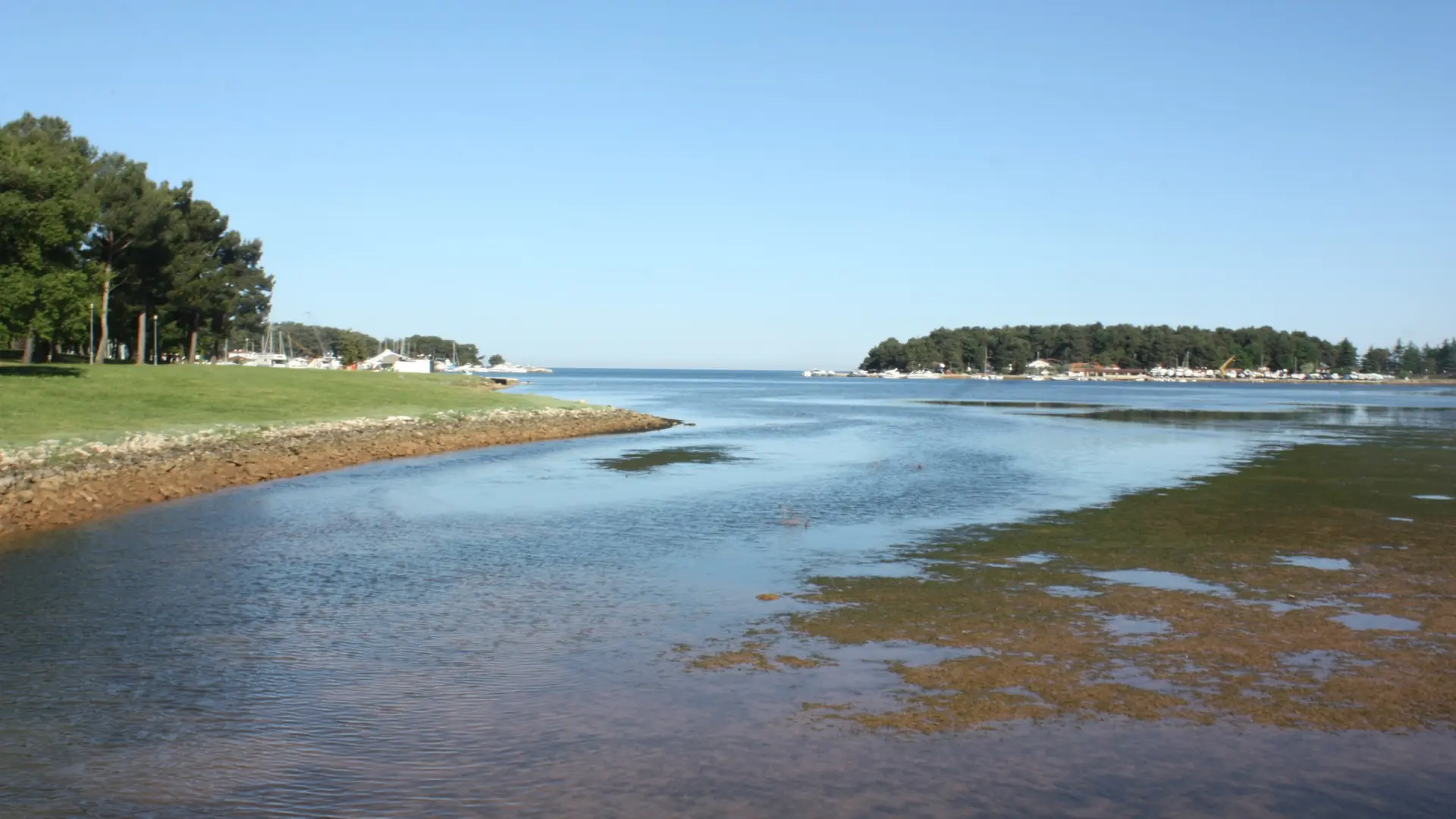 Shallow coastal bay and pine-covered shore south of central Poreč