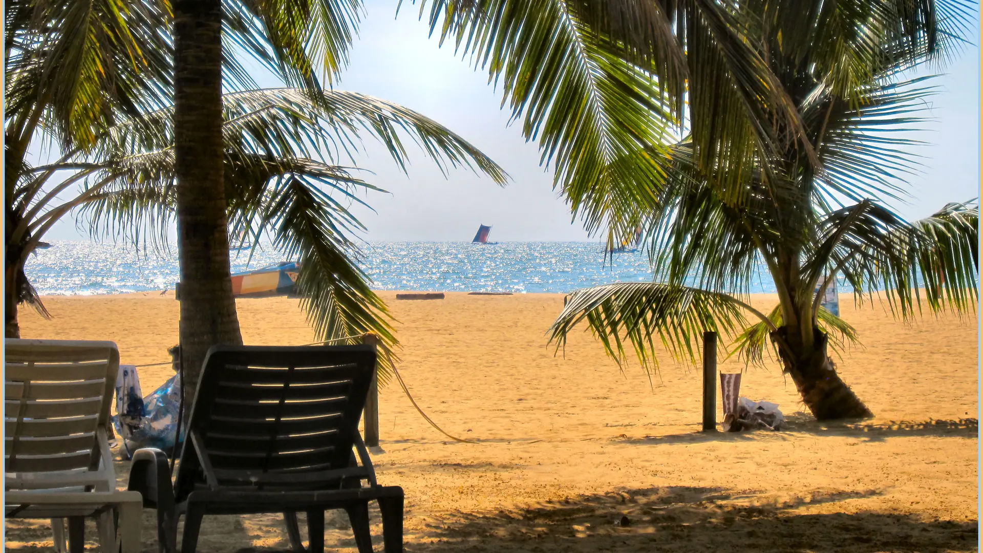 Beach chairs under palms on Negombo Beach in daylight