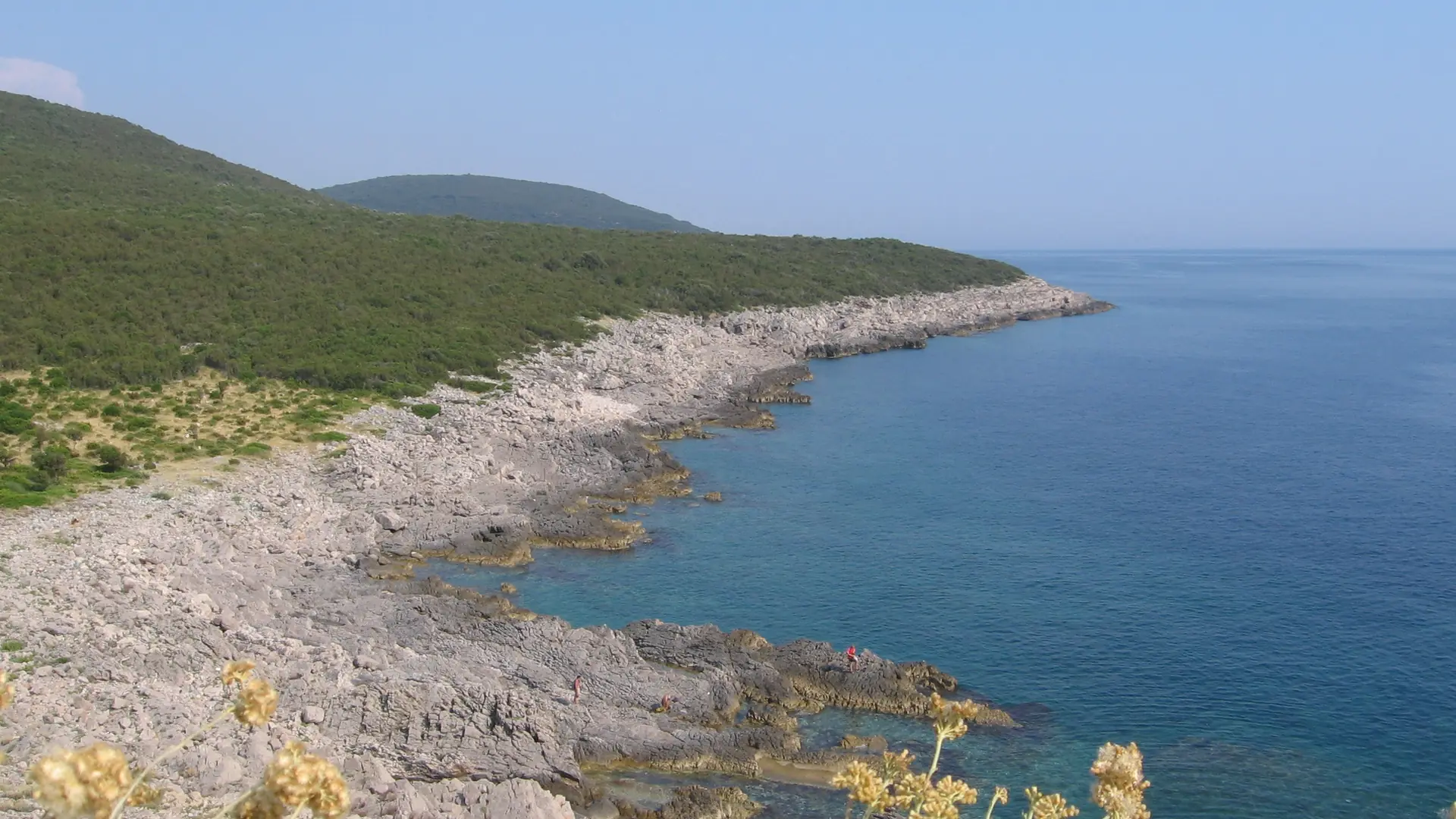 Rocky Luštica peninsula coastline meeting clear blue Adriatic water under a sunny sky