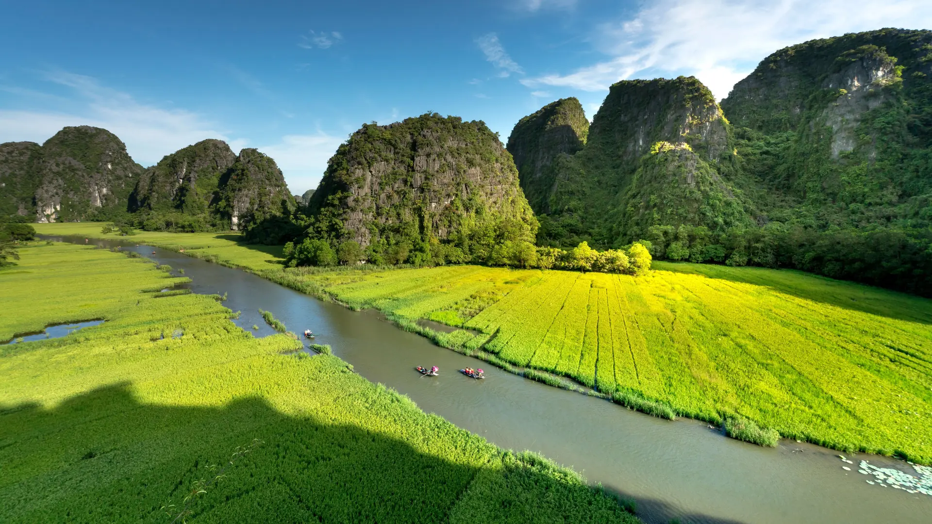 A bend of the Ngo Dong River between golden rice fields and Tam Coc limestone hills
