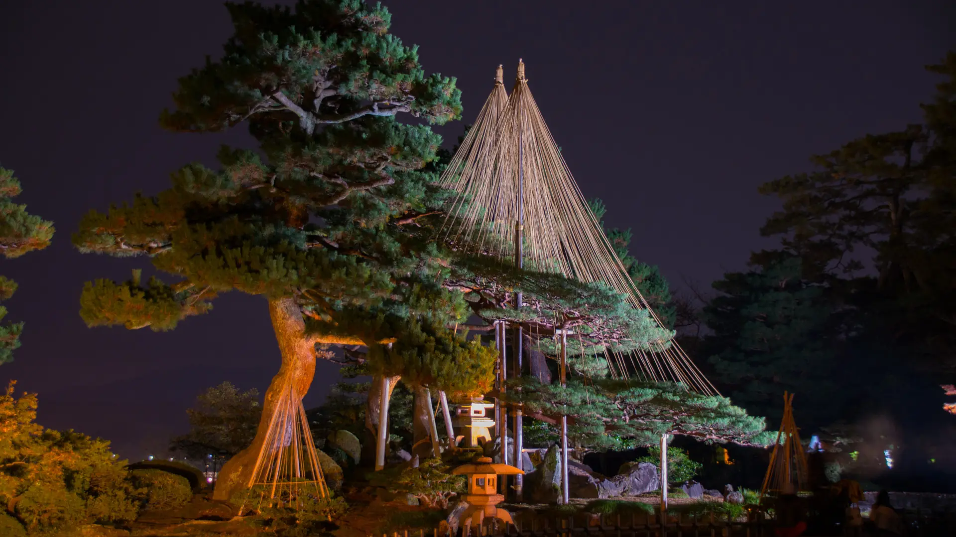 Kenrokuen garden pond and carefully trained pines