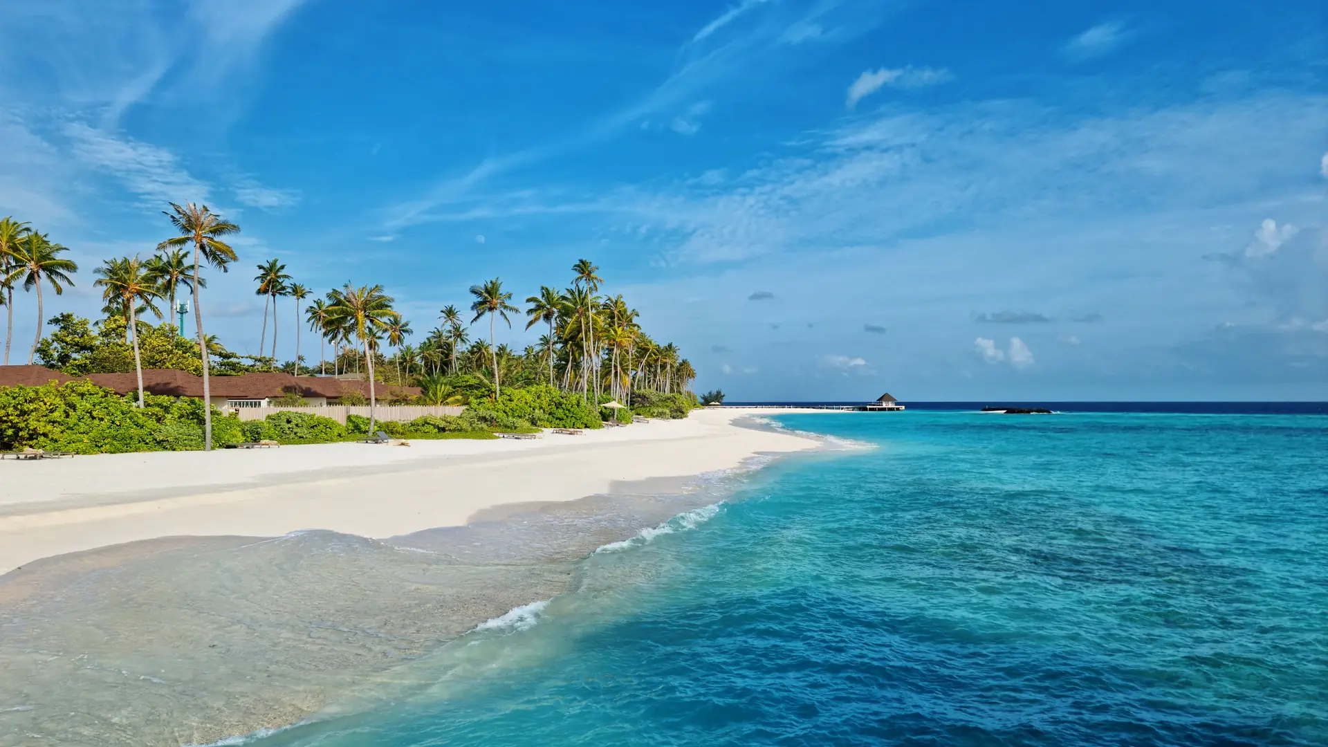 Palm-lined white sand and turquoise water on a Maldivian island