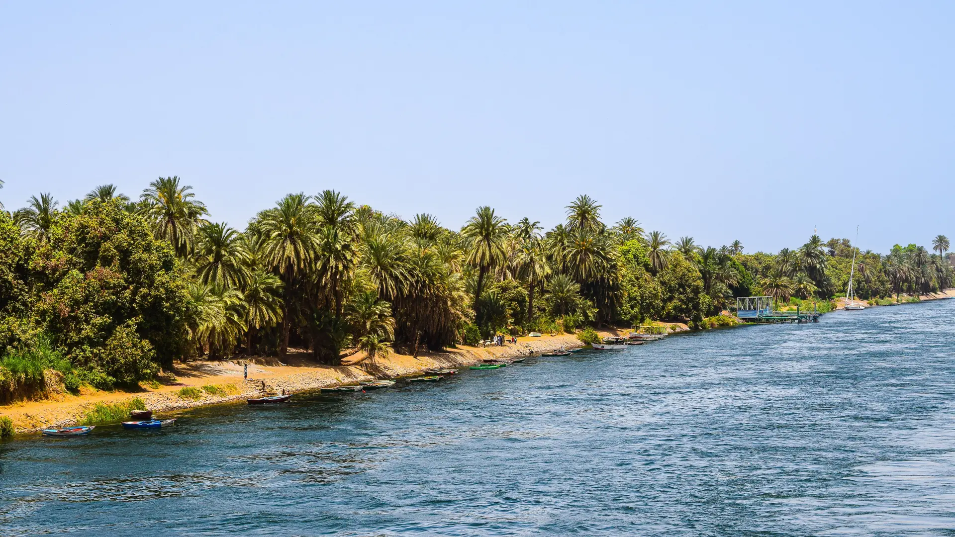 Sunny Nile riverbank in Egypt lined with palms and greenery