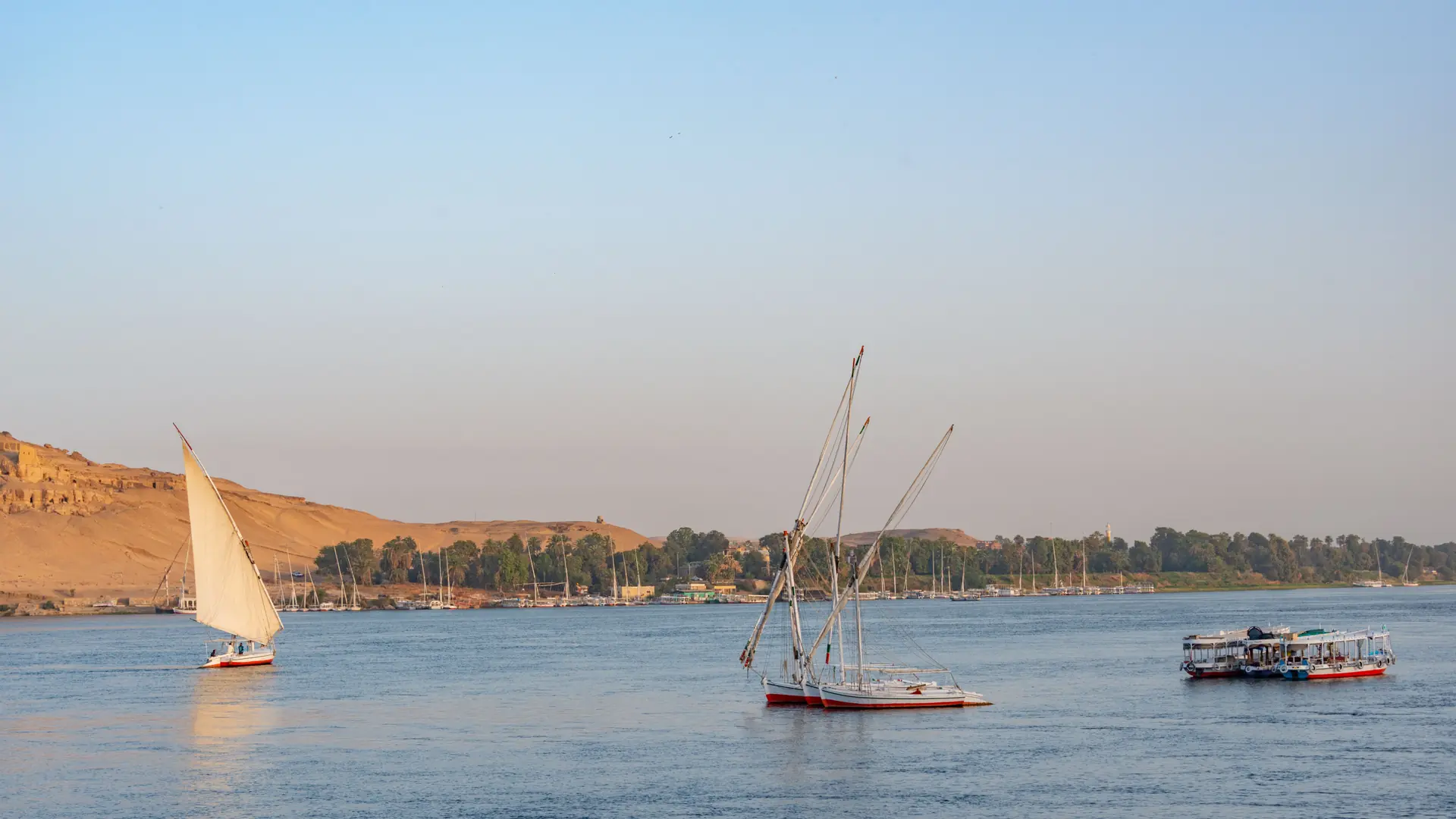 Bright Nile water and Aswan riverbank with feluccas in daylight