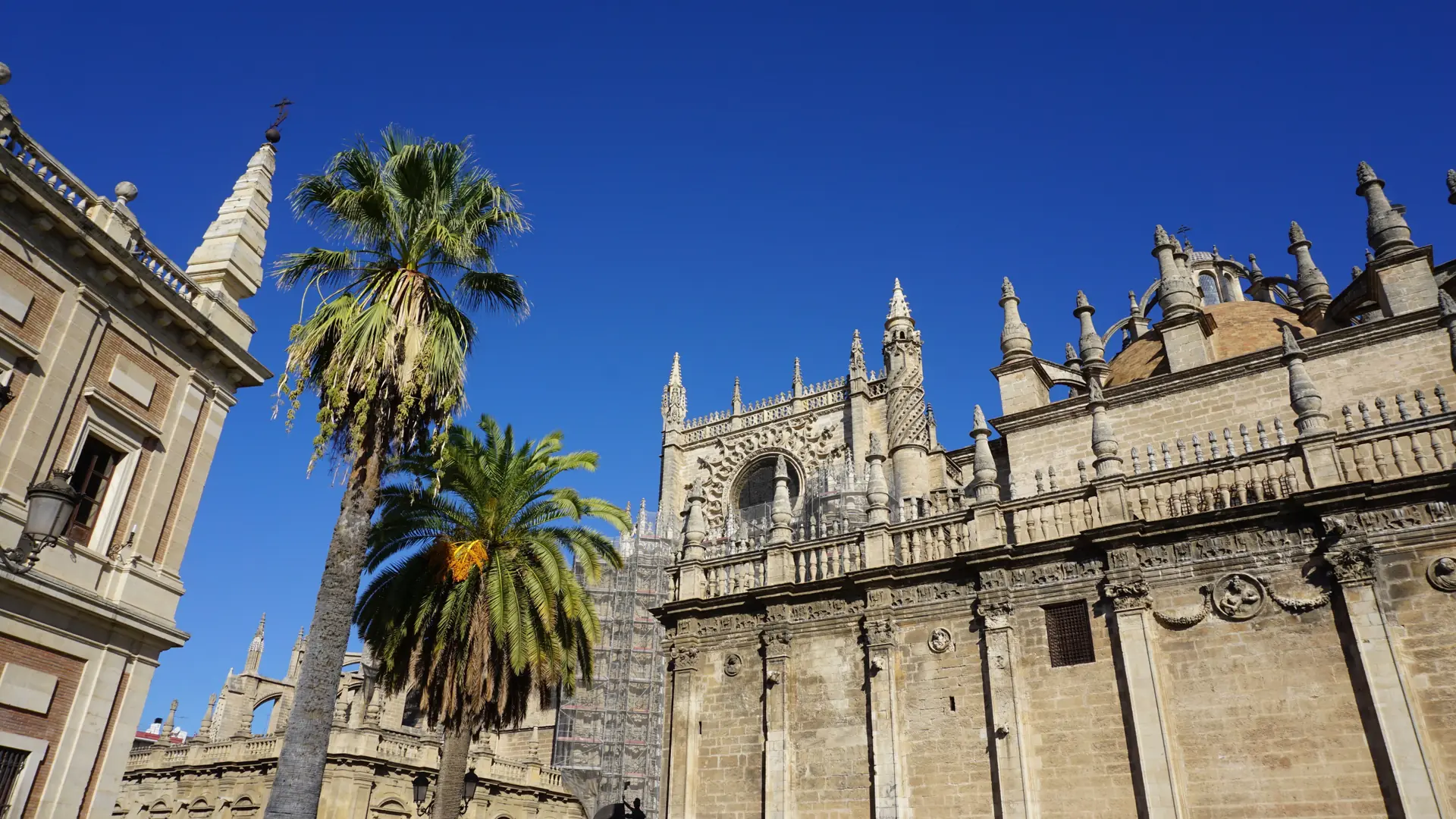 Seville Cathedral exterior and palm trees beneath a clear blue sky