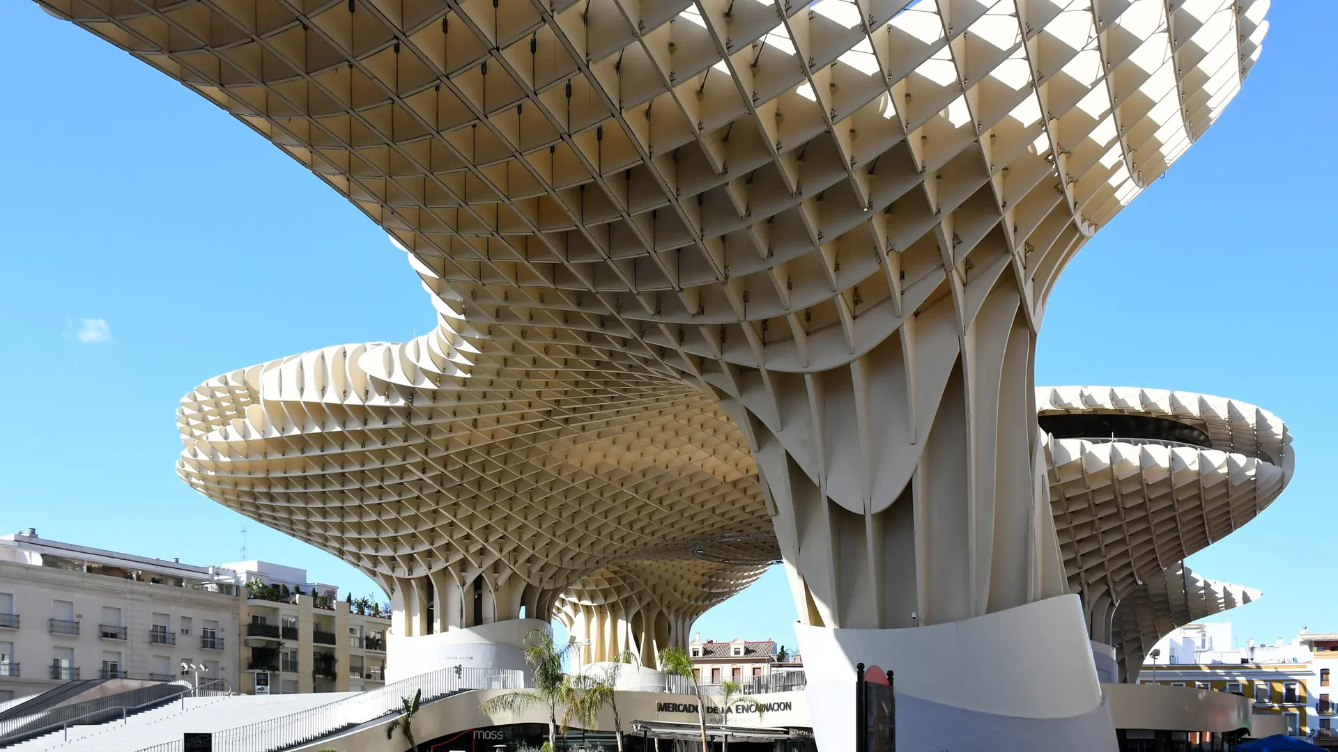 Metropol Parasol’s timber canopy above Plaza de la Encarnación in Seville