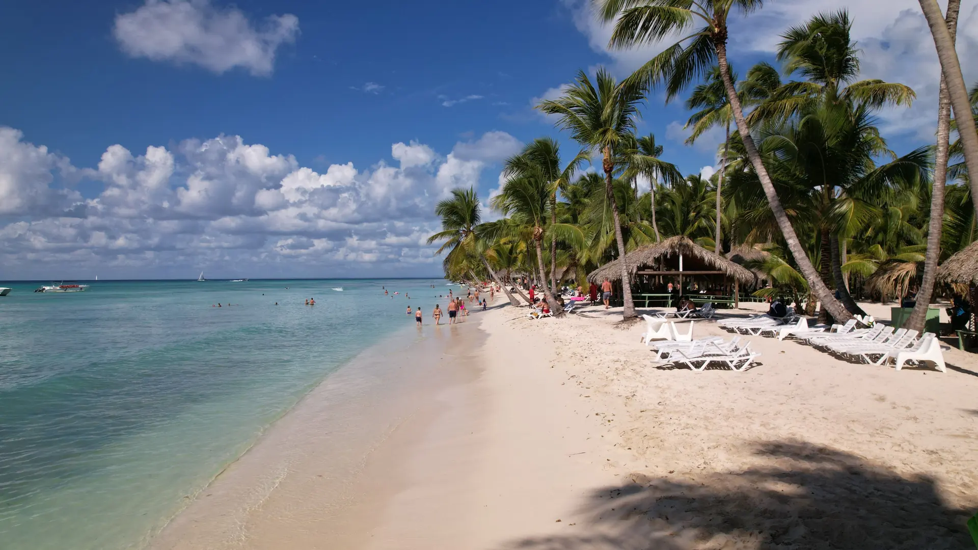 Bright Punta Cana coast with pale sand, palms and clear blue water