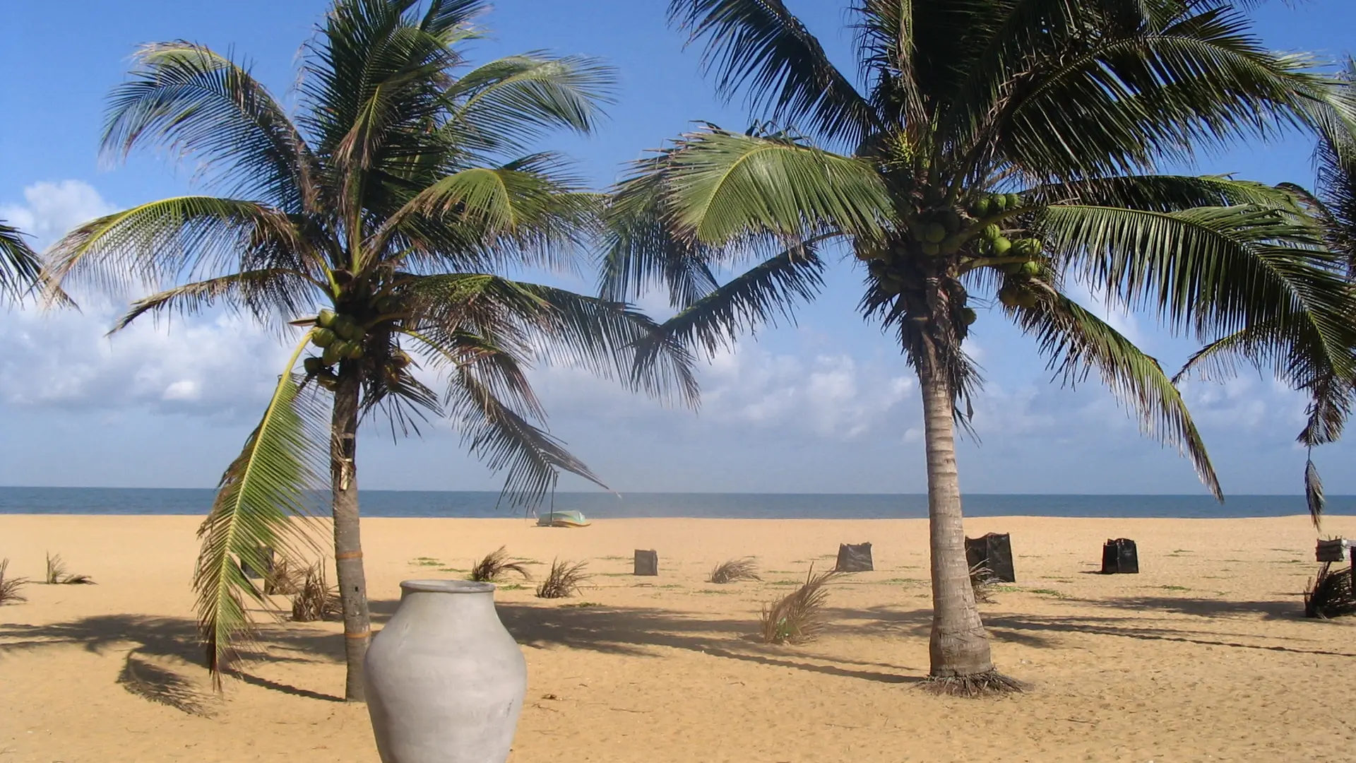 Palms above the broad sandy beach at Negombo on Sri Lanka's west coast