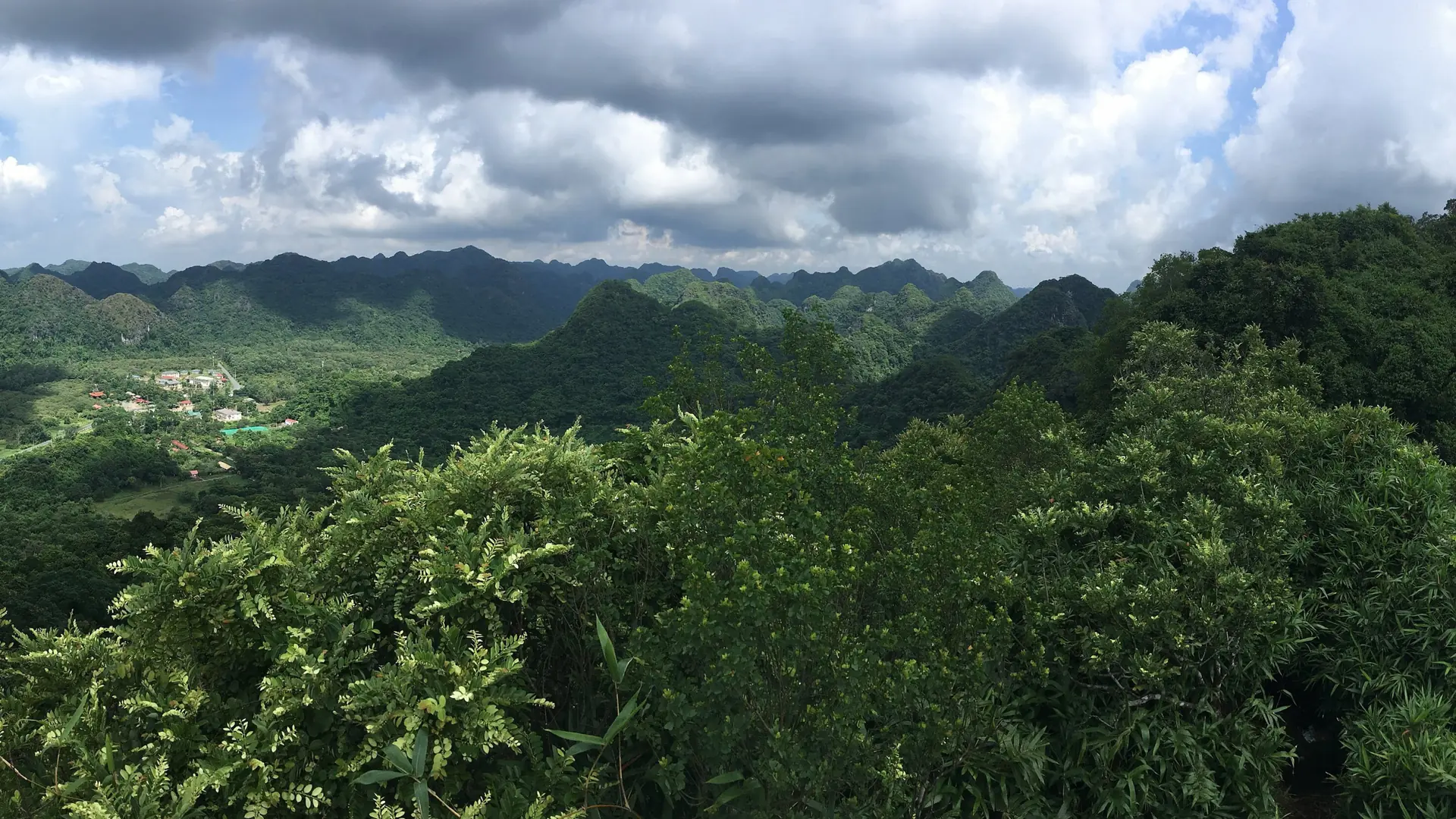 Green limestone hills seen from Ngu Lam Peak in Cat Ba National Park, a wider island landscape